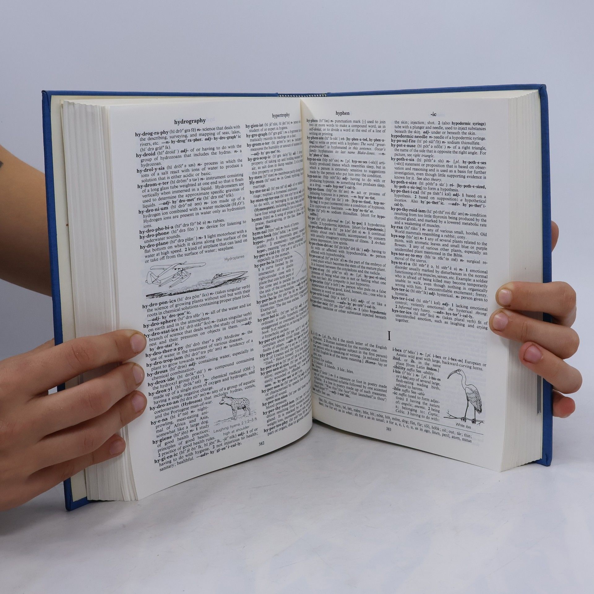 Autorenkollektiv The Holt Intermediate Dictionary of American English