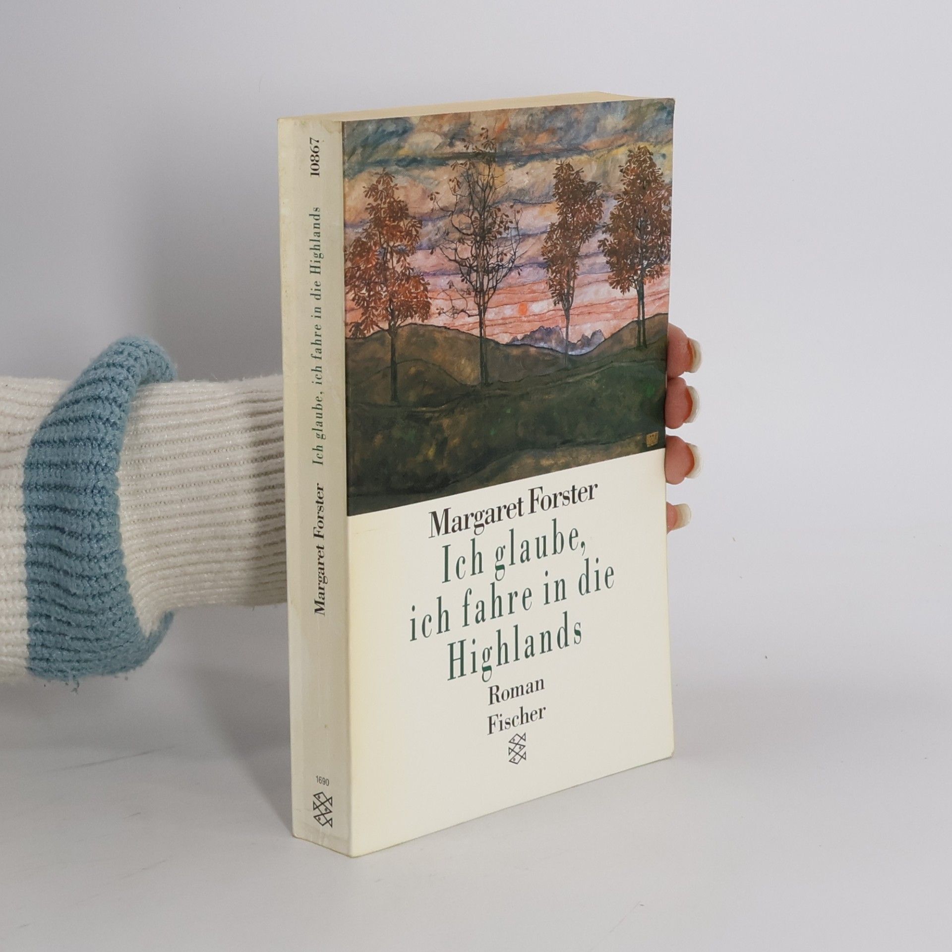 Margaret Forster Ich glaube, ich fahre in die Highlands