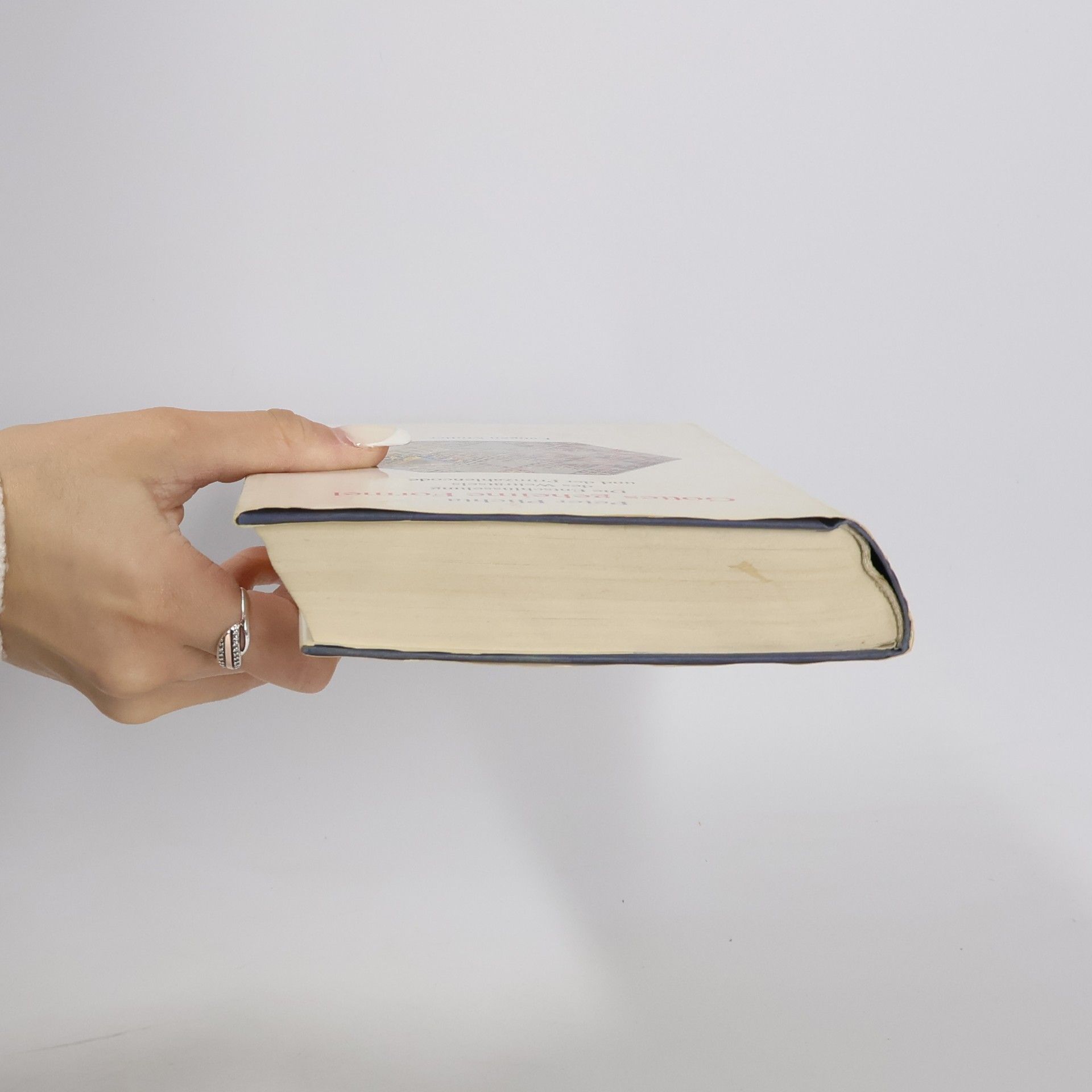 Peter Plichta Gottes geheime Formel