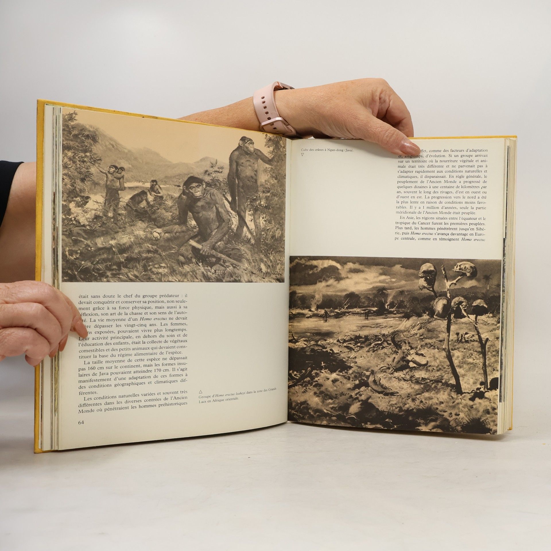 Wolf Josef Burian Zdeněk Encyclopédie des Hommes de la Préhistoire