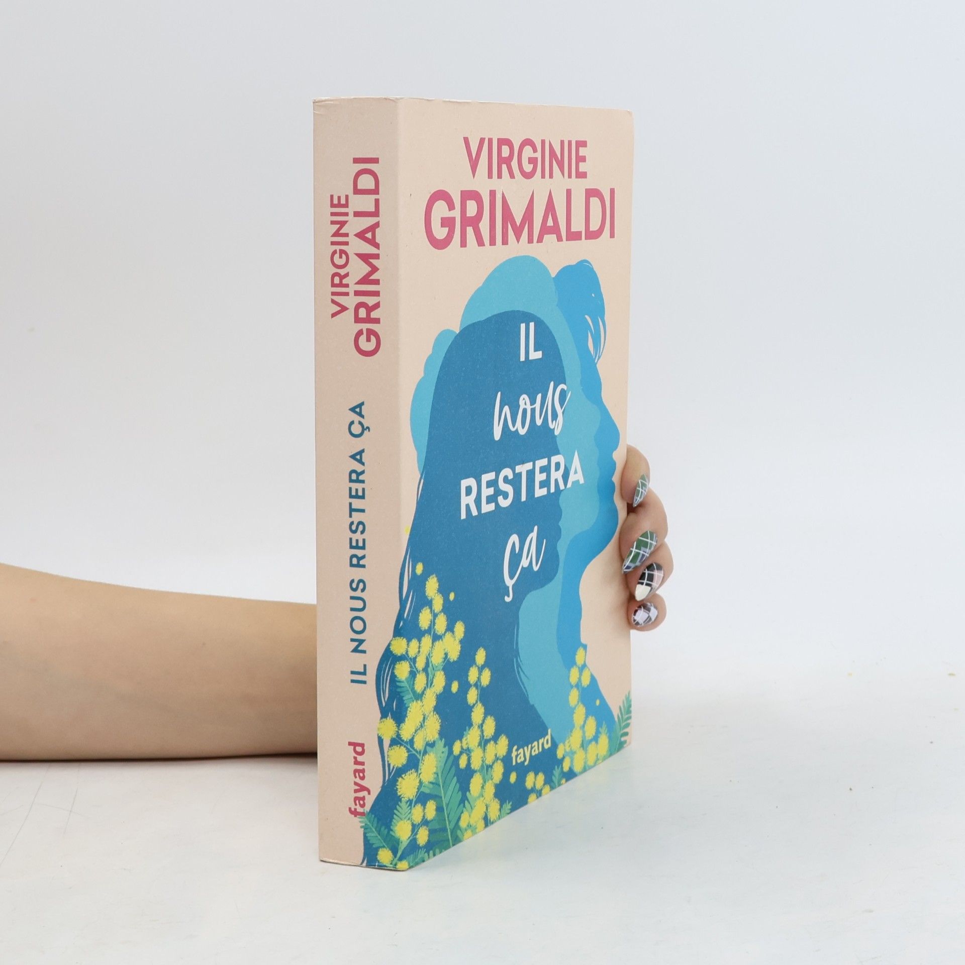 Virginie Grimaldi Il nous restera ça