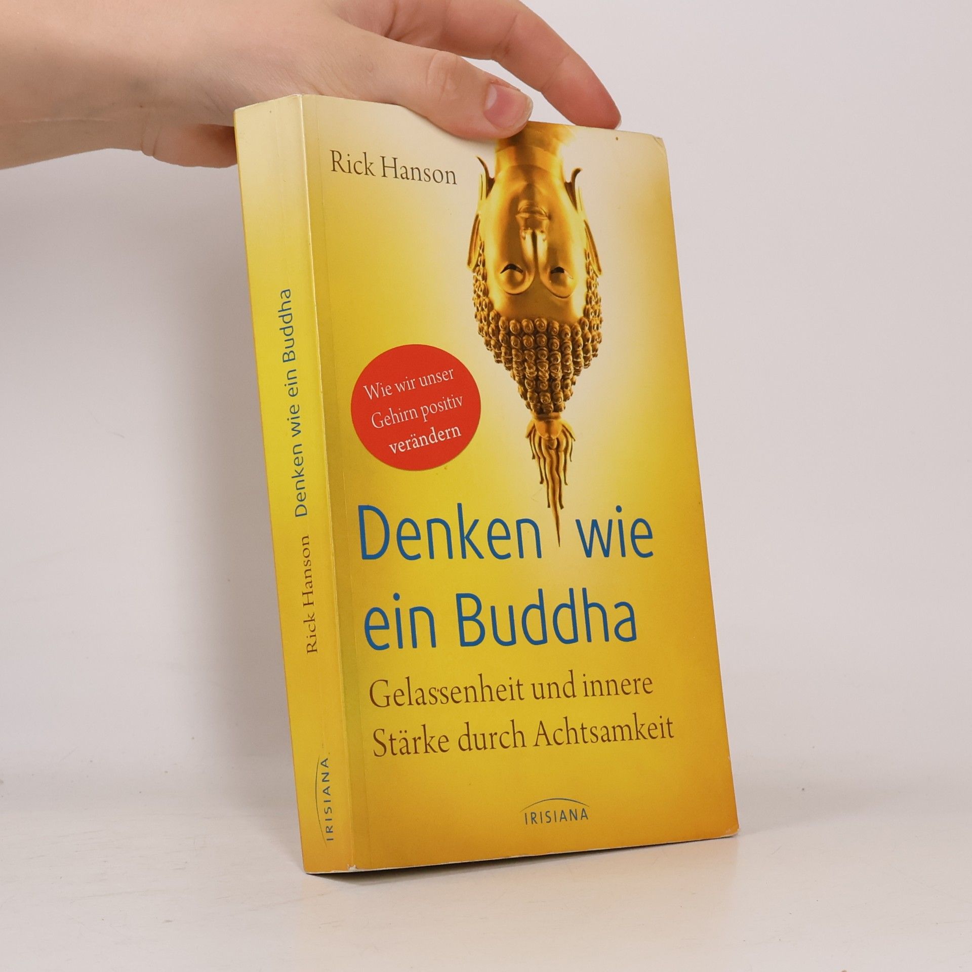 Rick Hanson Denken wie ein Buddha