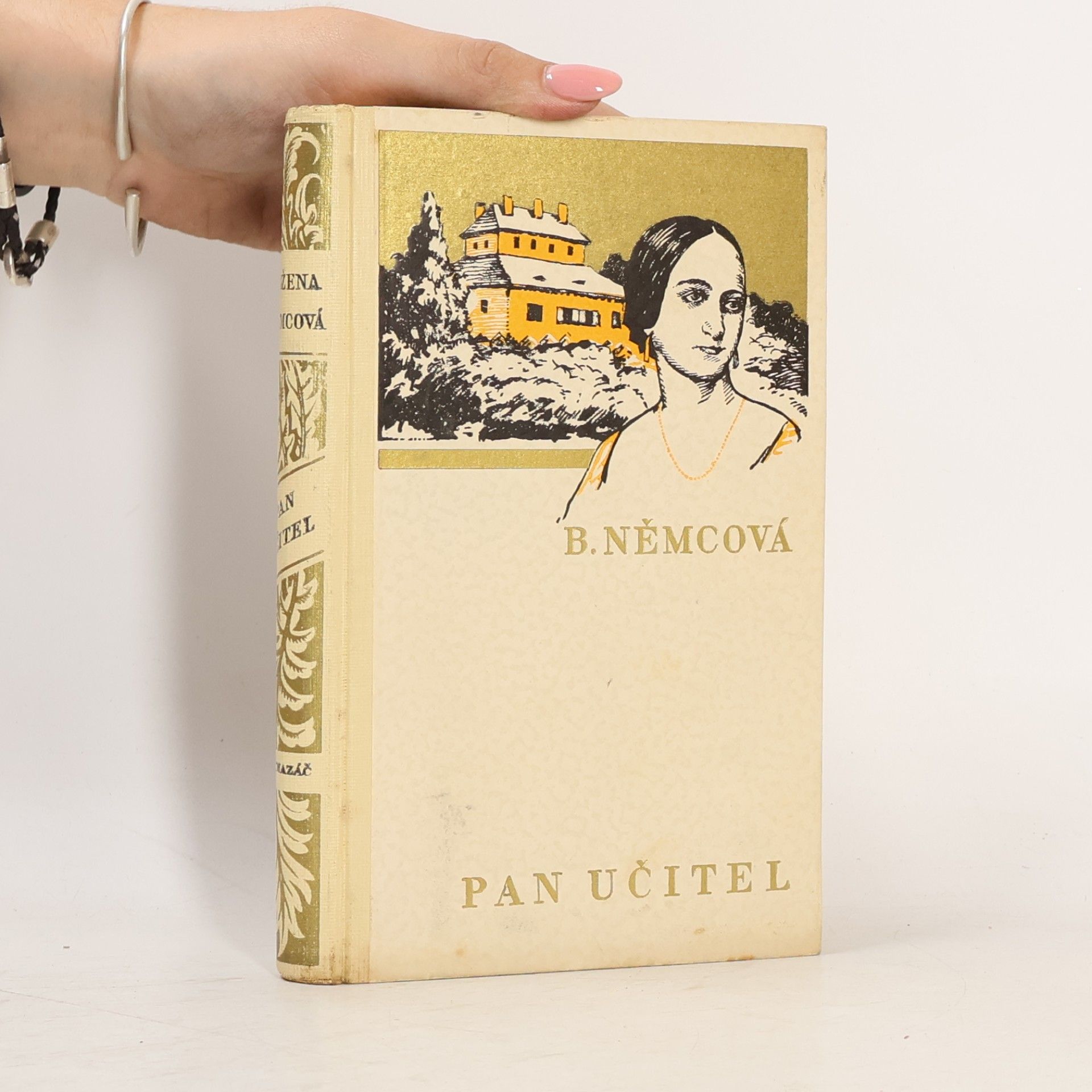 Pan učitel