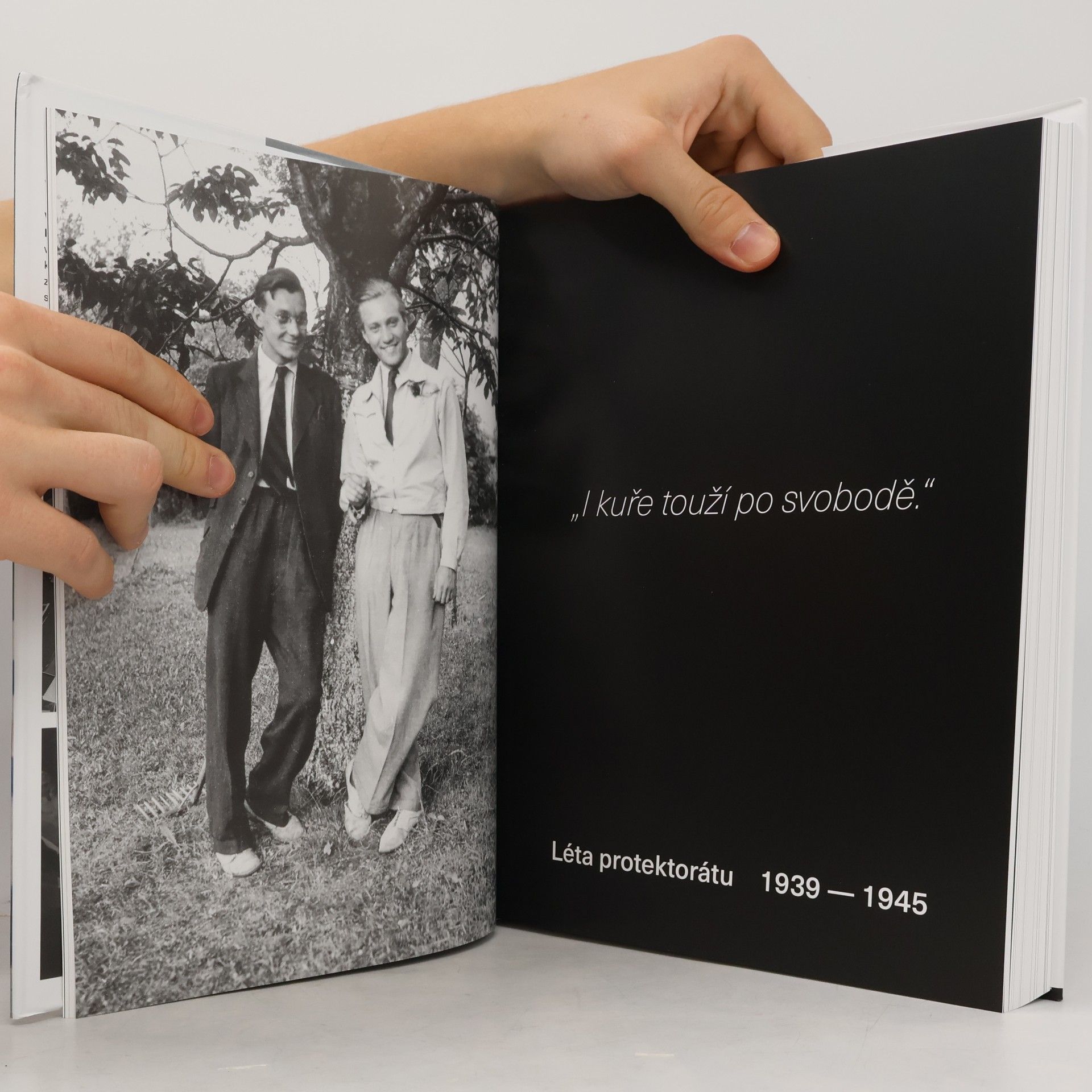 Various authors Rudolf Hrušínský : 100 rozmarných lét