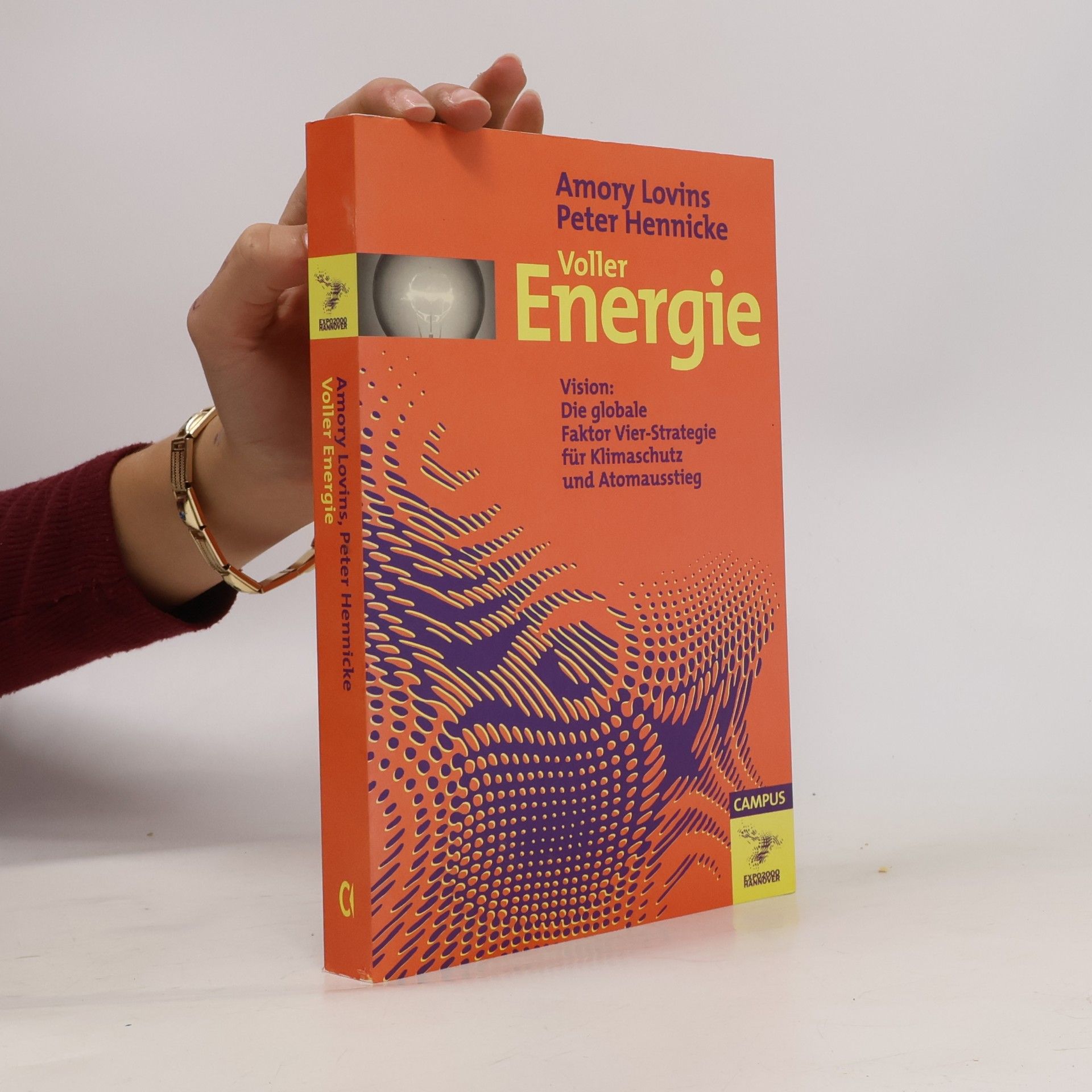 Amory Lovins Voller Energie