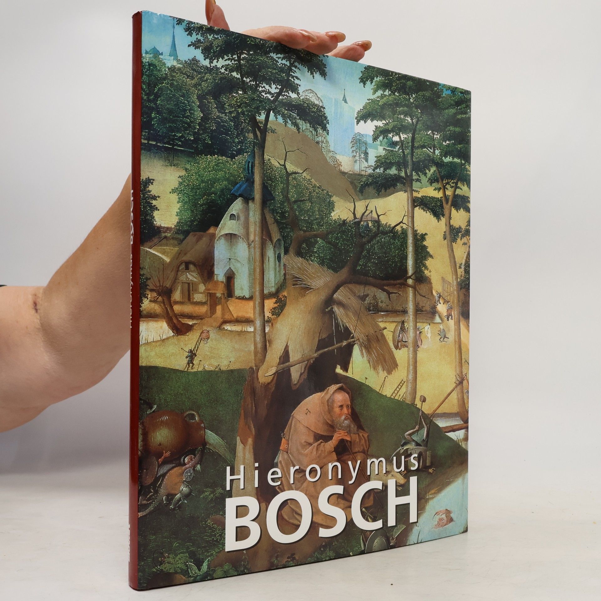 Virginia Rembert Hieronymus Bosch