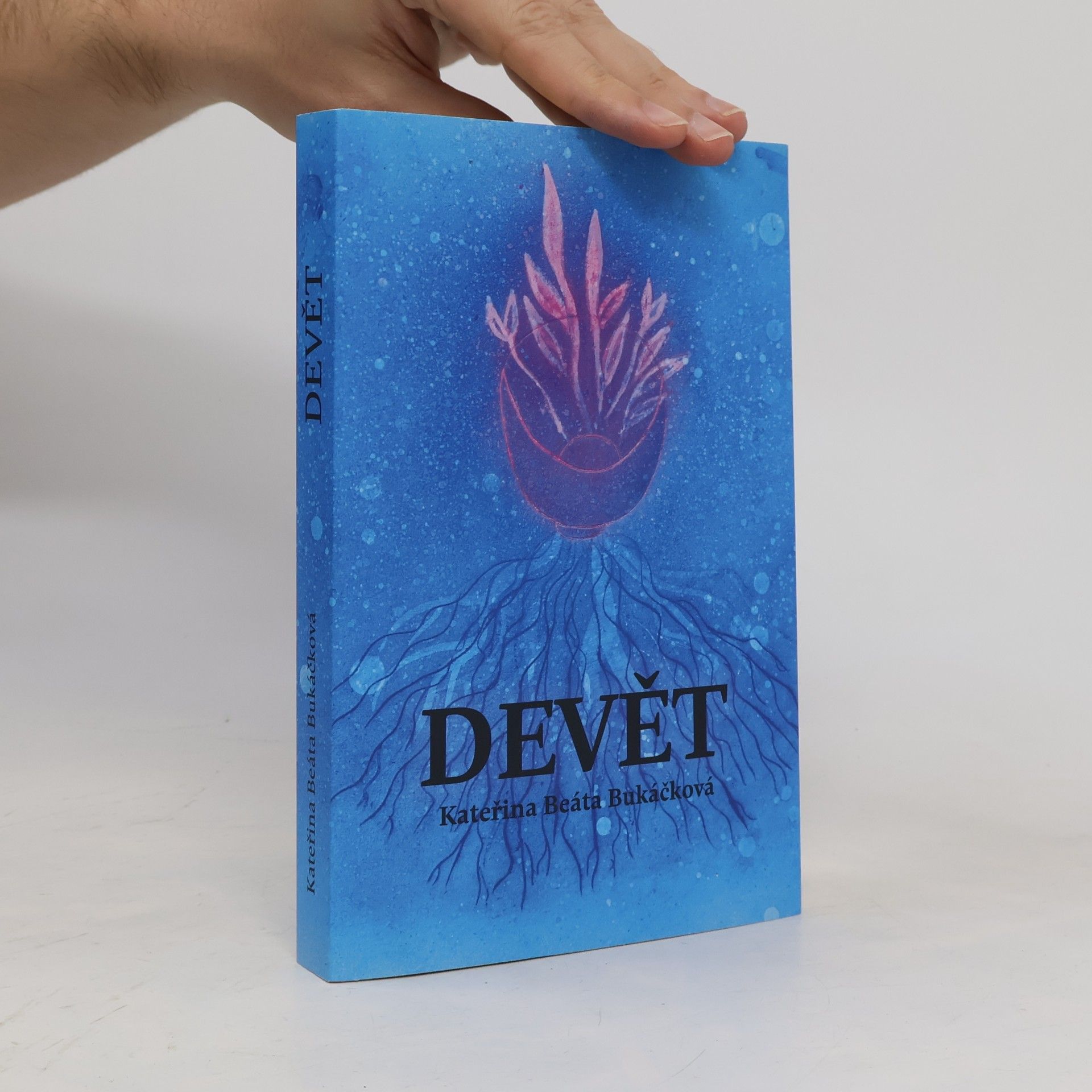 Devět