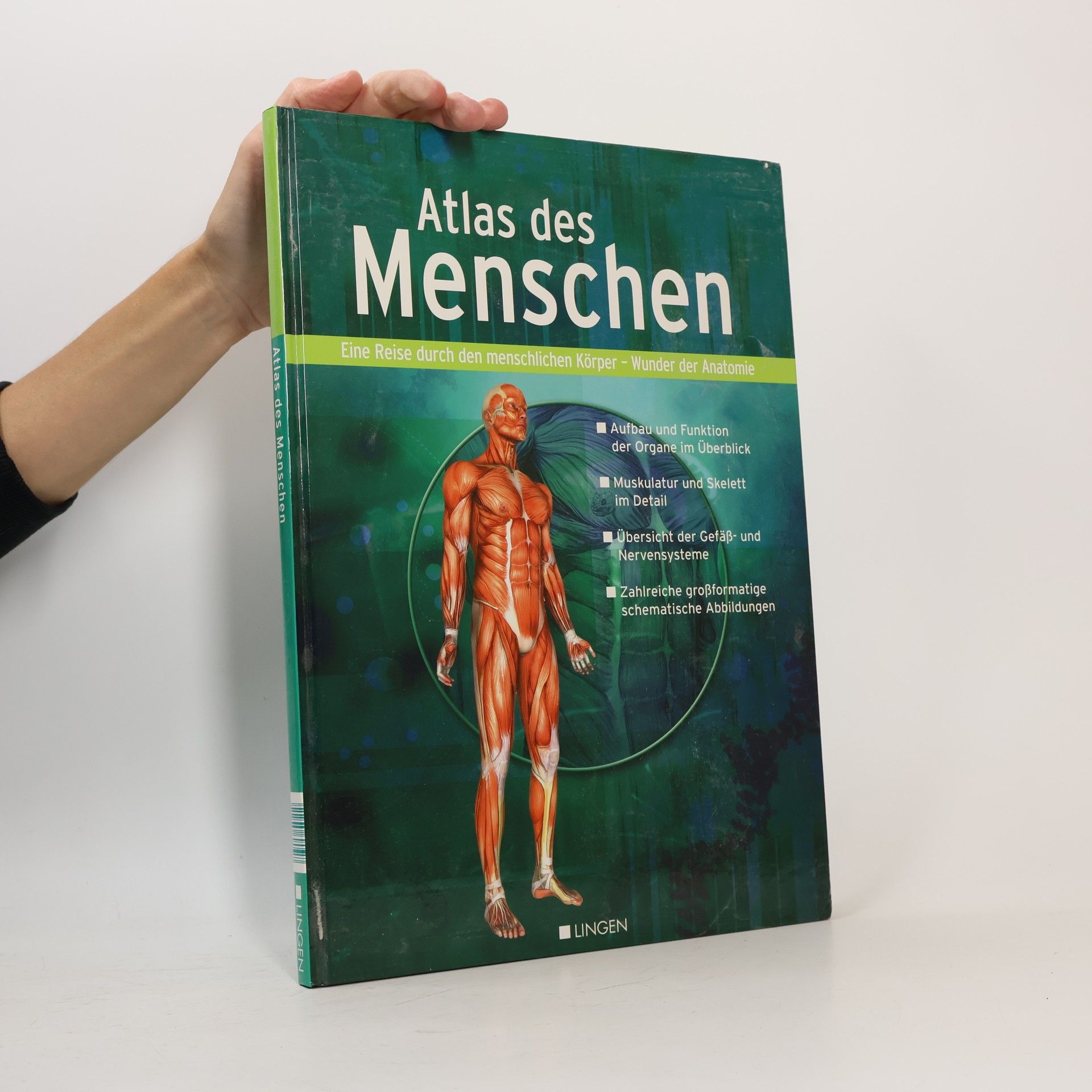 kolektiv Atlas des Menschen
