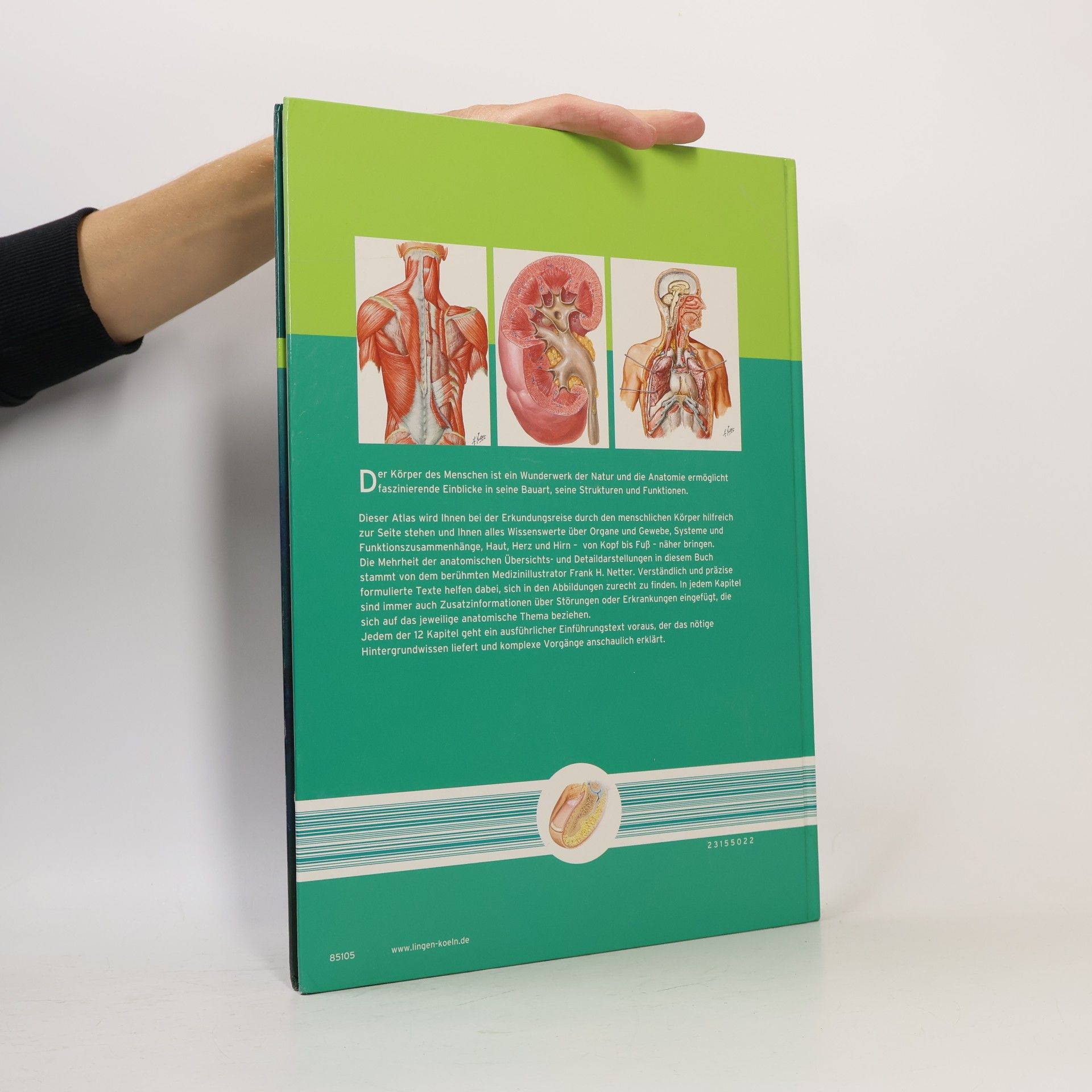 kolektiv Atlas des Menschen