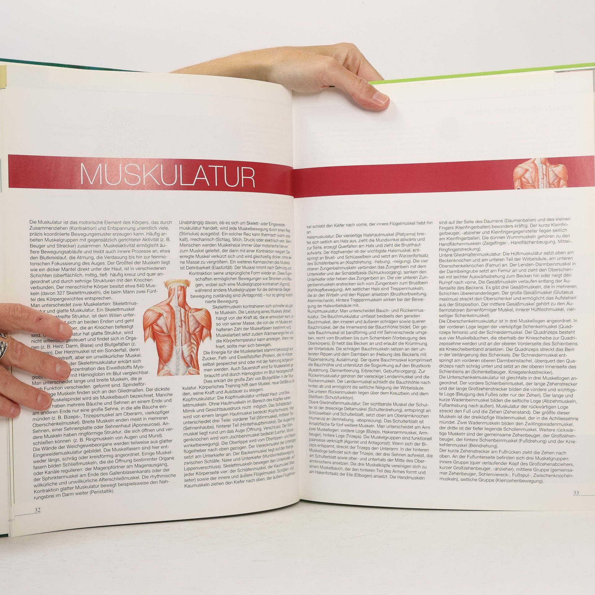 kolektiv Atlas des Menschen