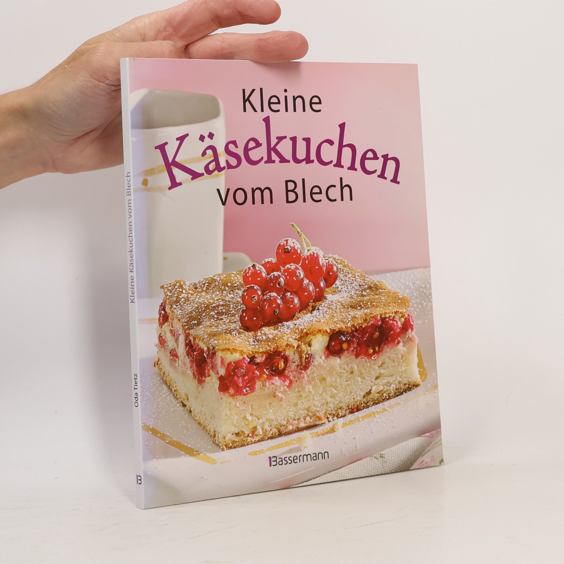 Oda Tietz Kleine Käsekuchen vom Blech
