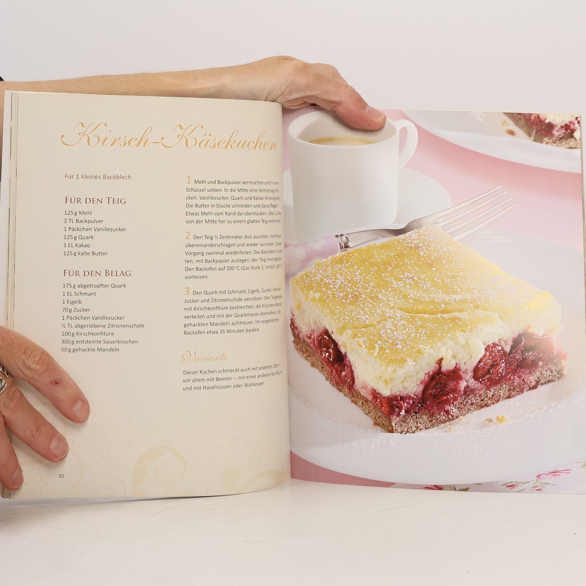 Oda Tietz Kleine Käsekuchen vom Blech
