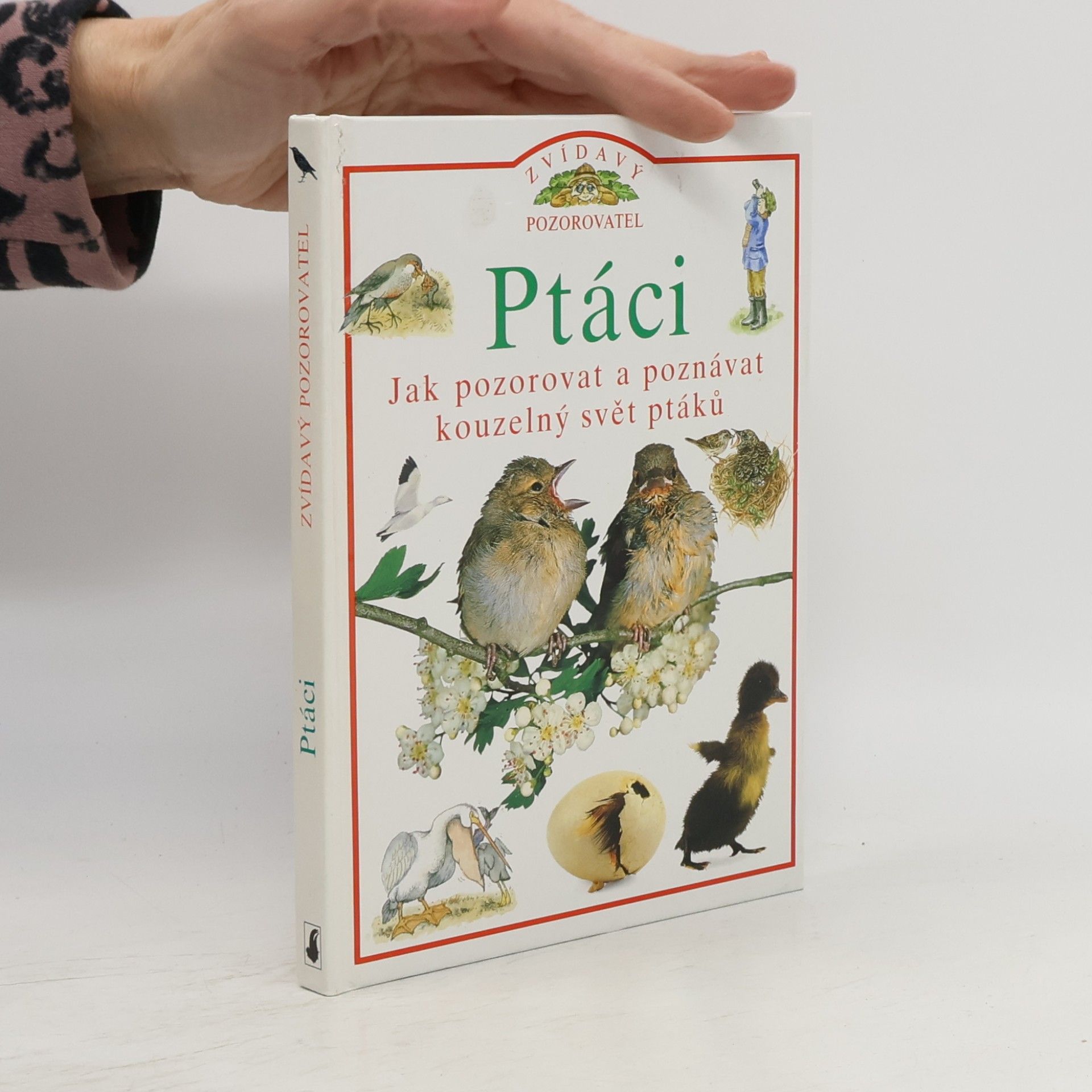 kolektiv Ptáci