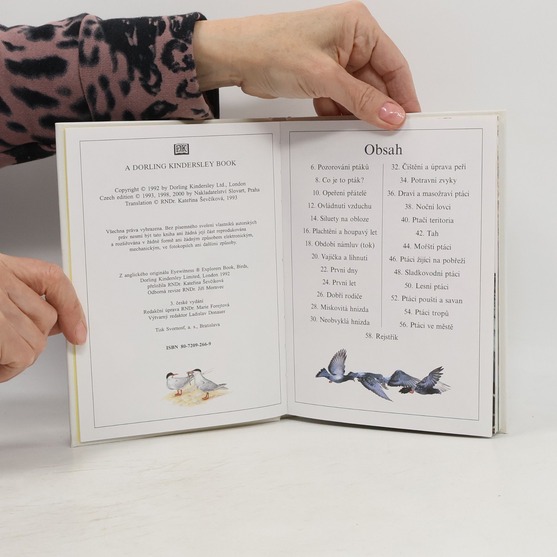 Various authors Ptáci
