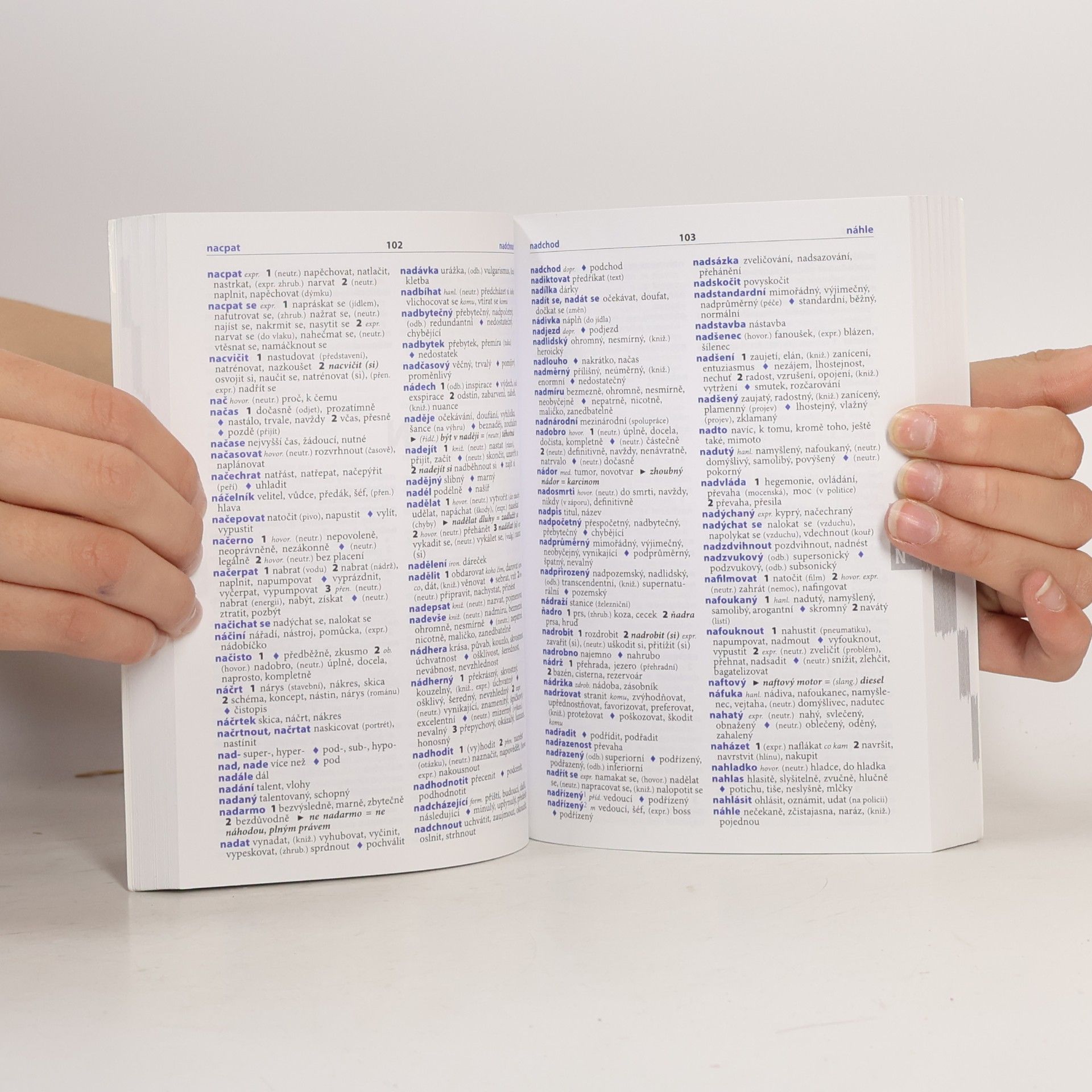 Autorenkollektiv Školní slovník českých synonym