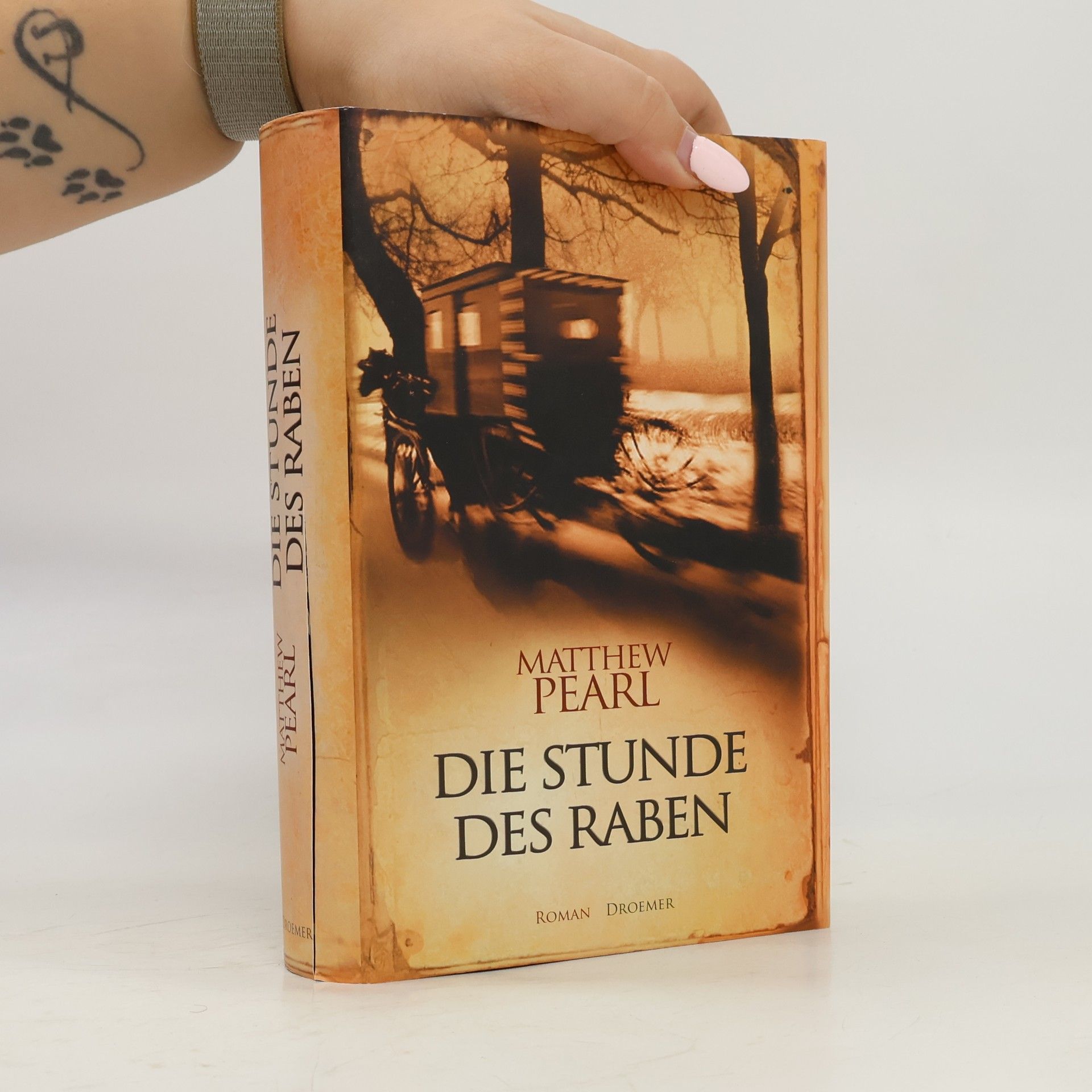 Matthew Pearl Die Stunde des Raben