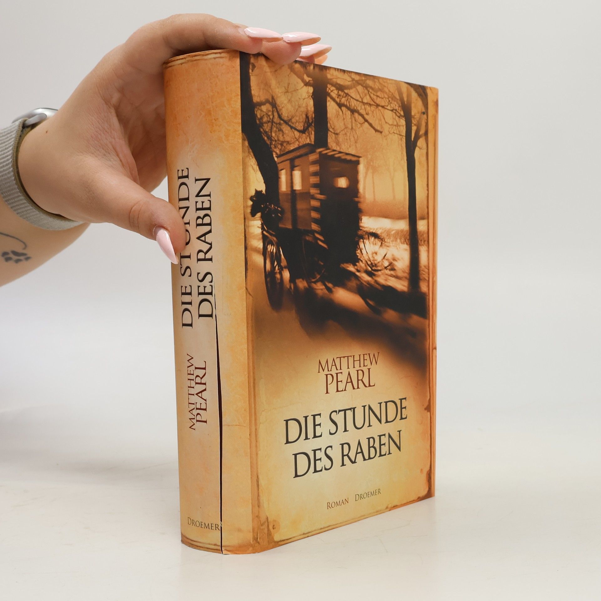 Matthew Pearl Die Stunde des Raben