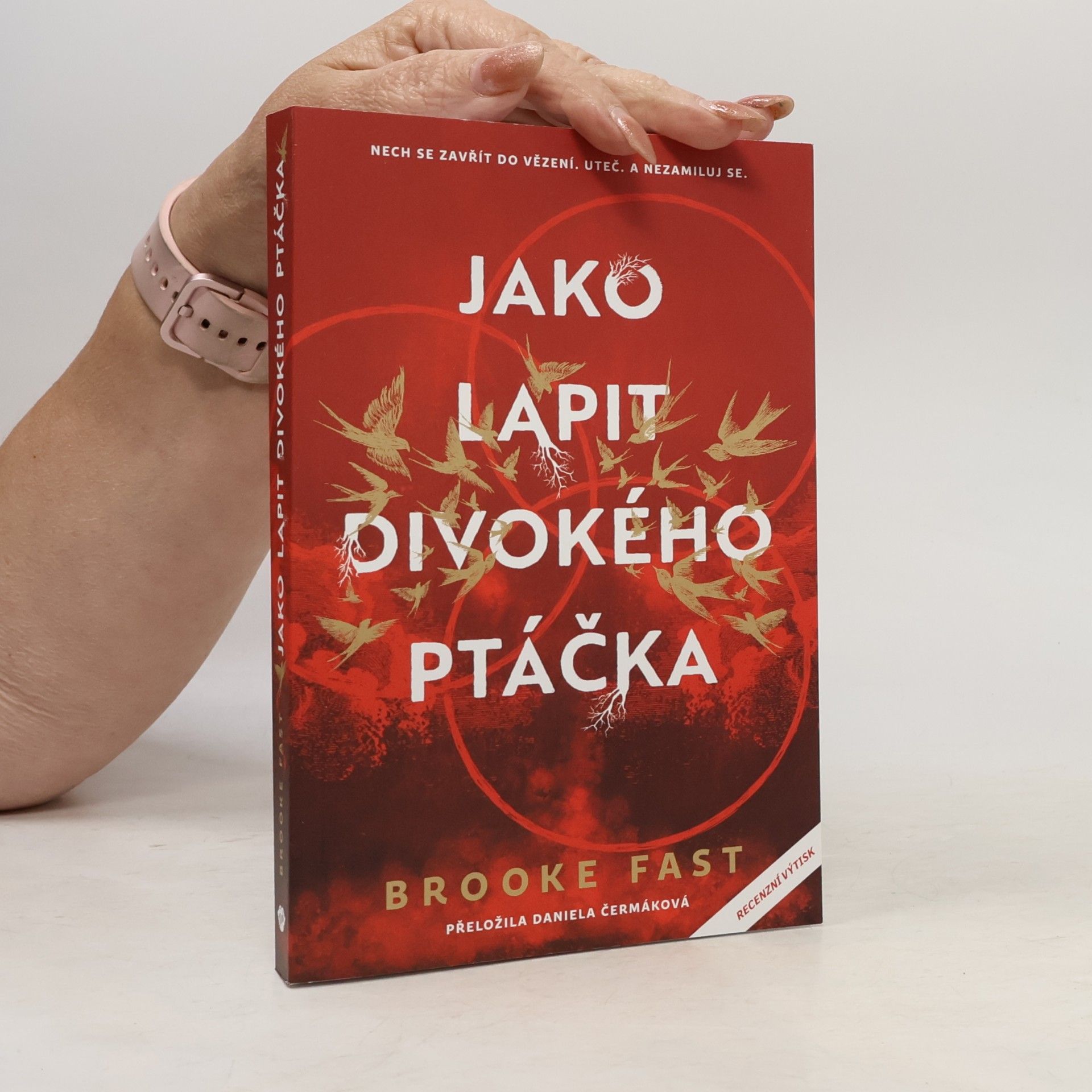Brooke Fast Jako lapit divokého ptáčka