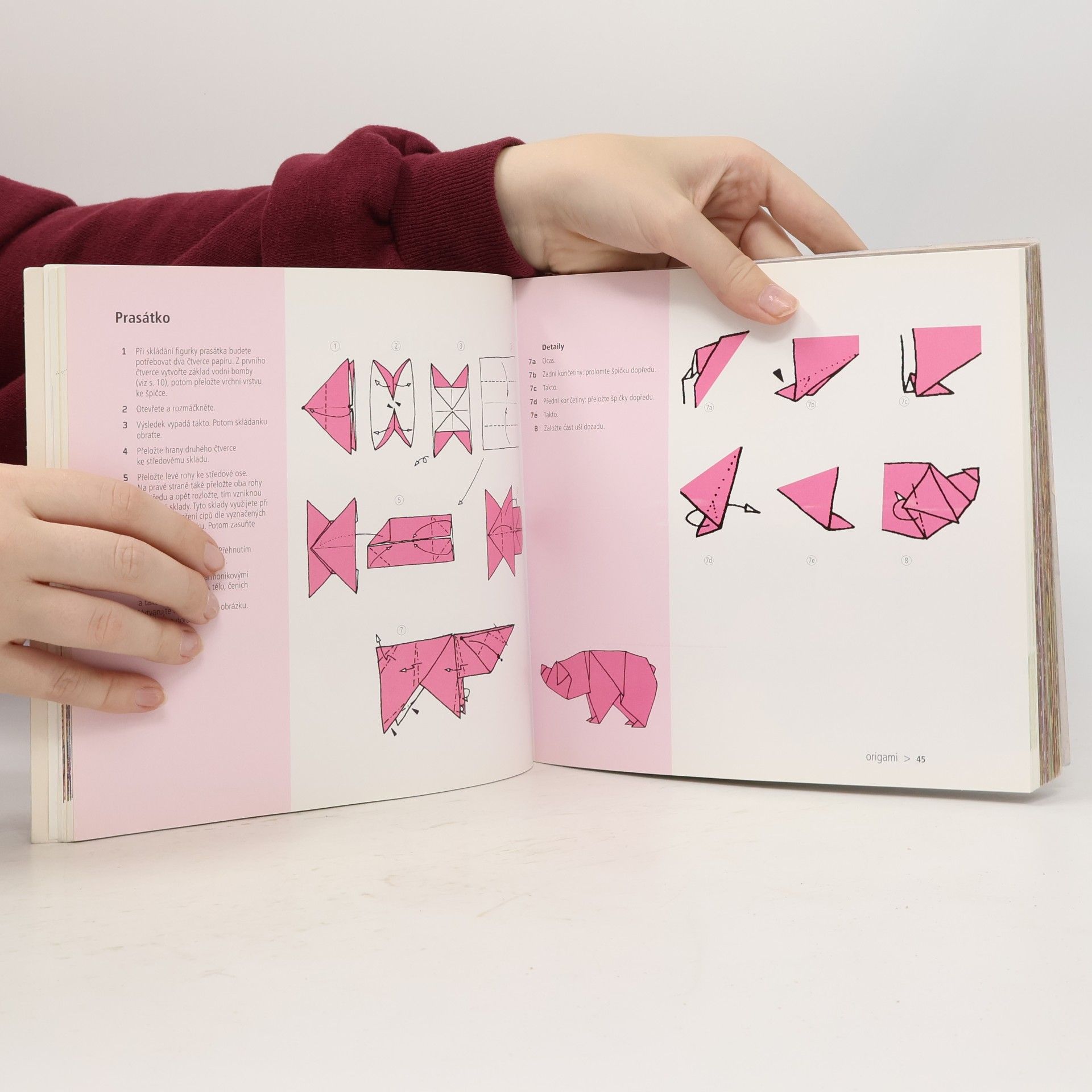 Didier Boursin Zoorigami
