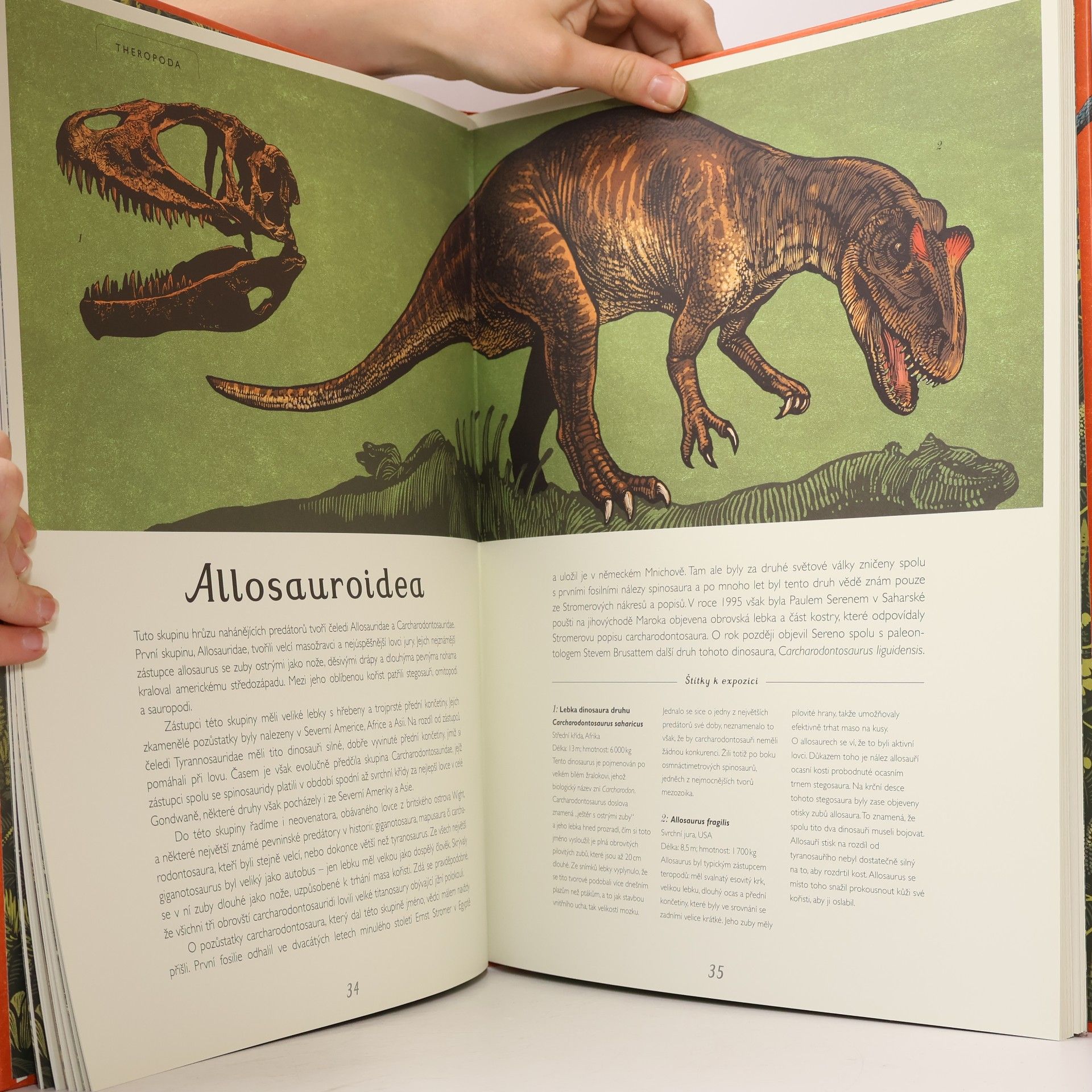 Lily Murray Dinosaurium