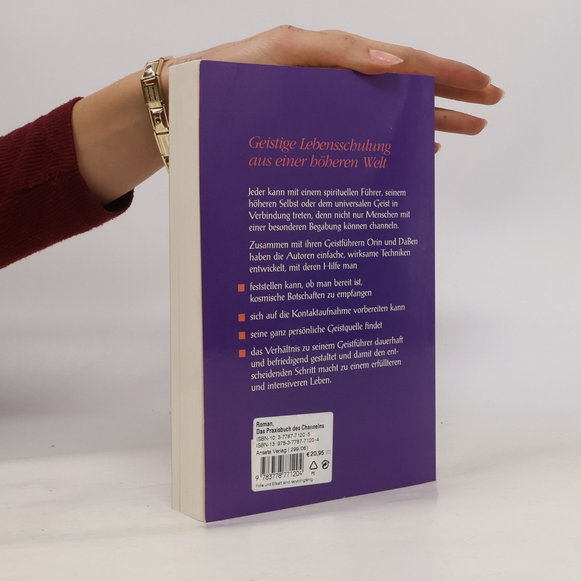 Sanaya Roman Das Praxisbuch des Channelns