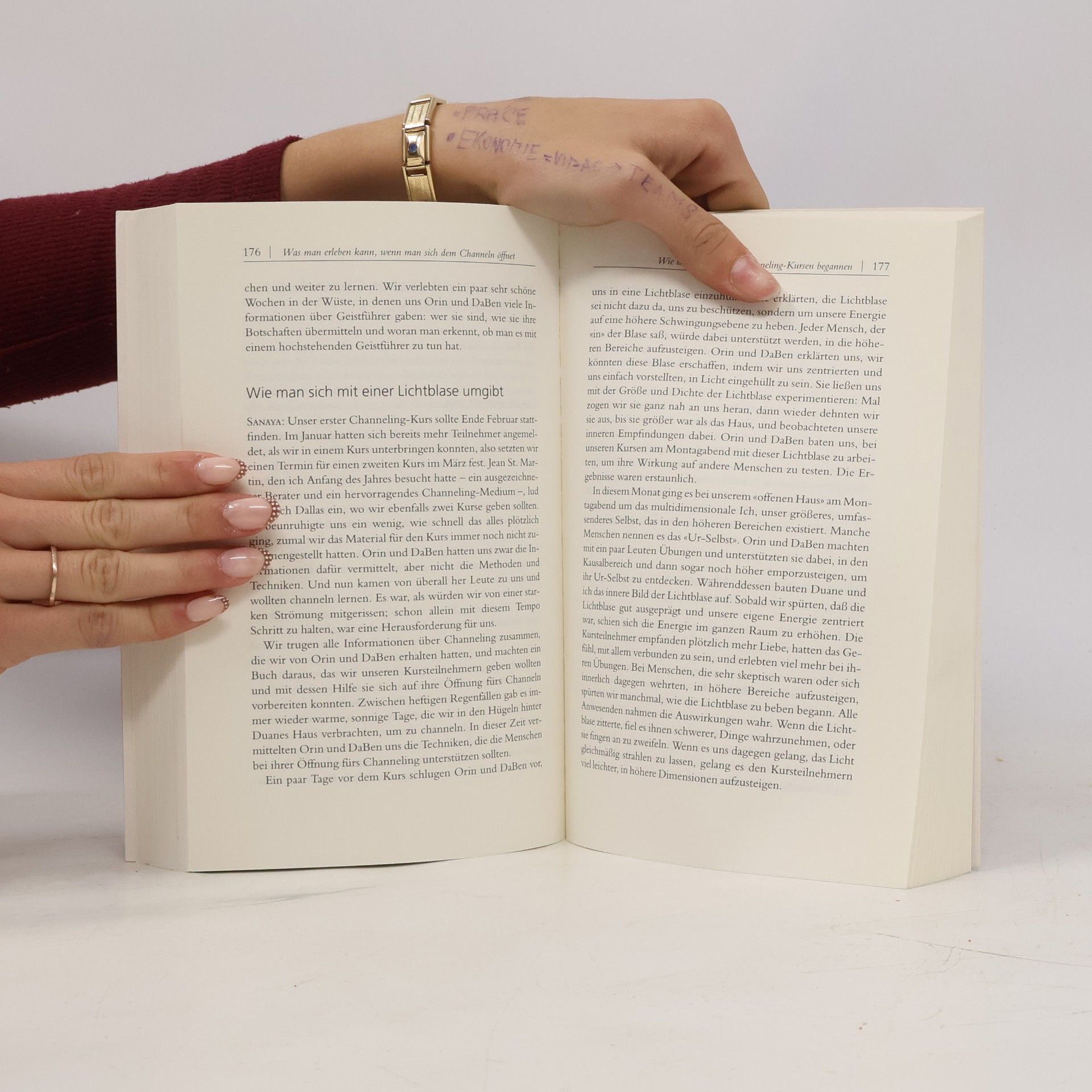 Sanaya Roman Das Praxisbuch des Channelns