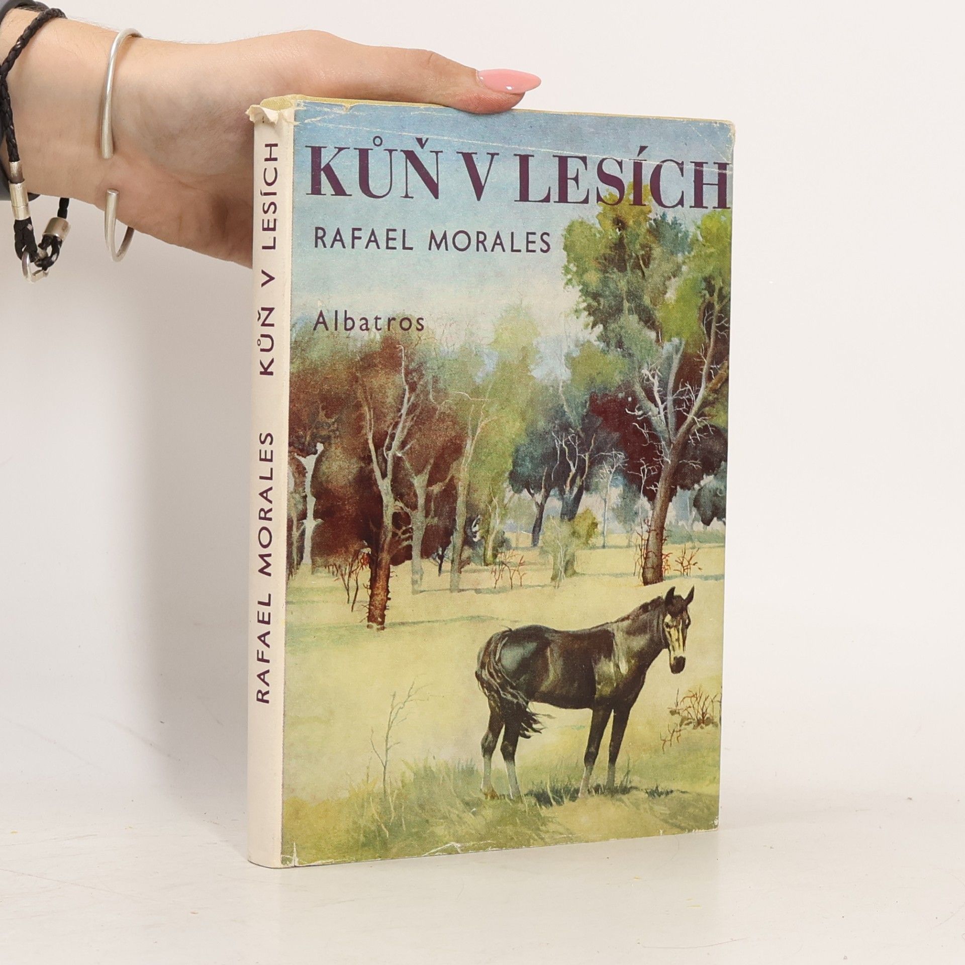 Kůň v lesích