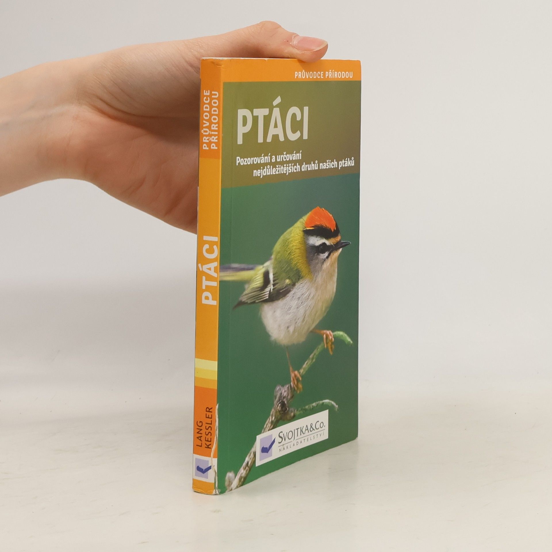 Angelika Lang Ptáci - pozorování a určování nejdůležitějších druhů našich ptáků