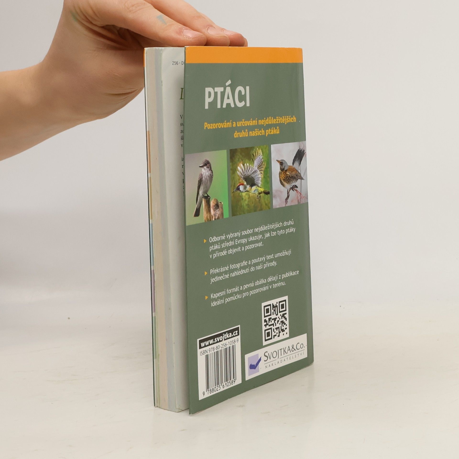 Angelika Lang Ptáci - pozorování a určování nejdůležitějších druhů našich ptáků