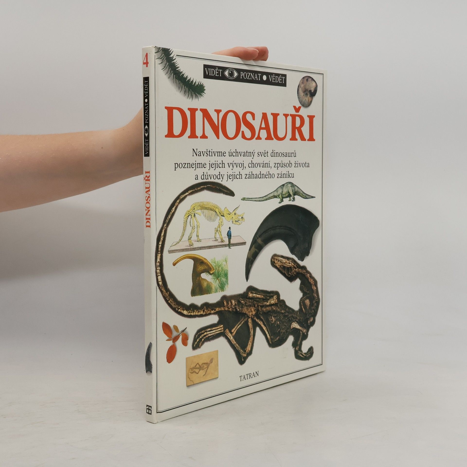 Autorenkollektiv Dinosauři