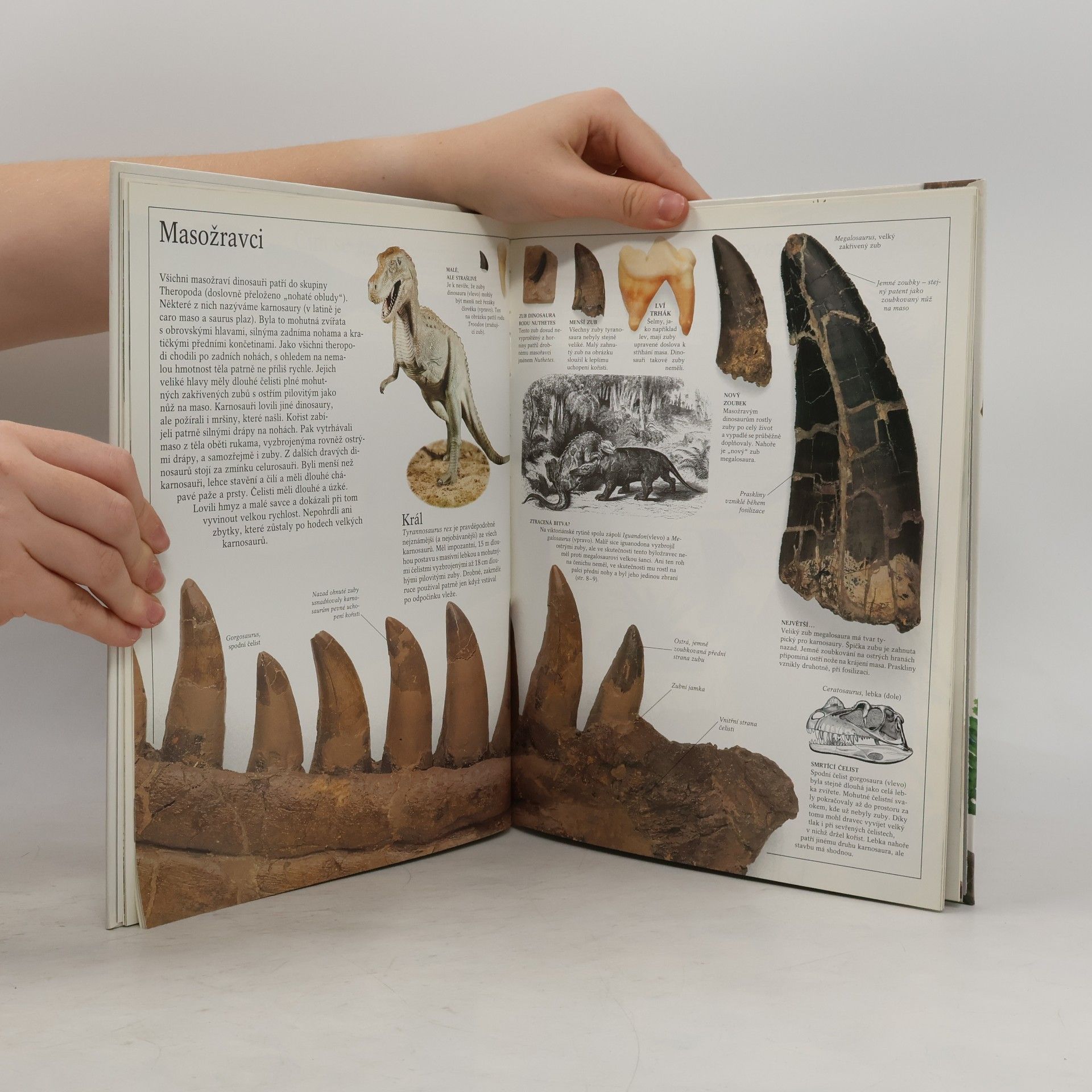 Autorenkollektiv Dinosauři