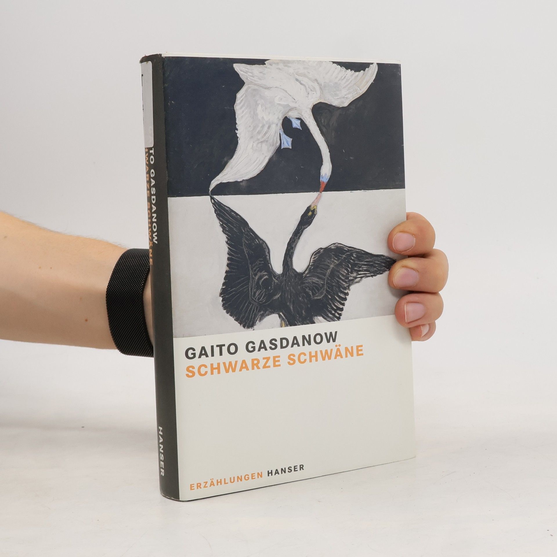 Gaito Gazdanov Schwarze Schwäne