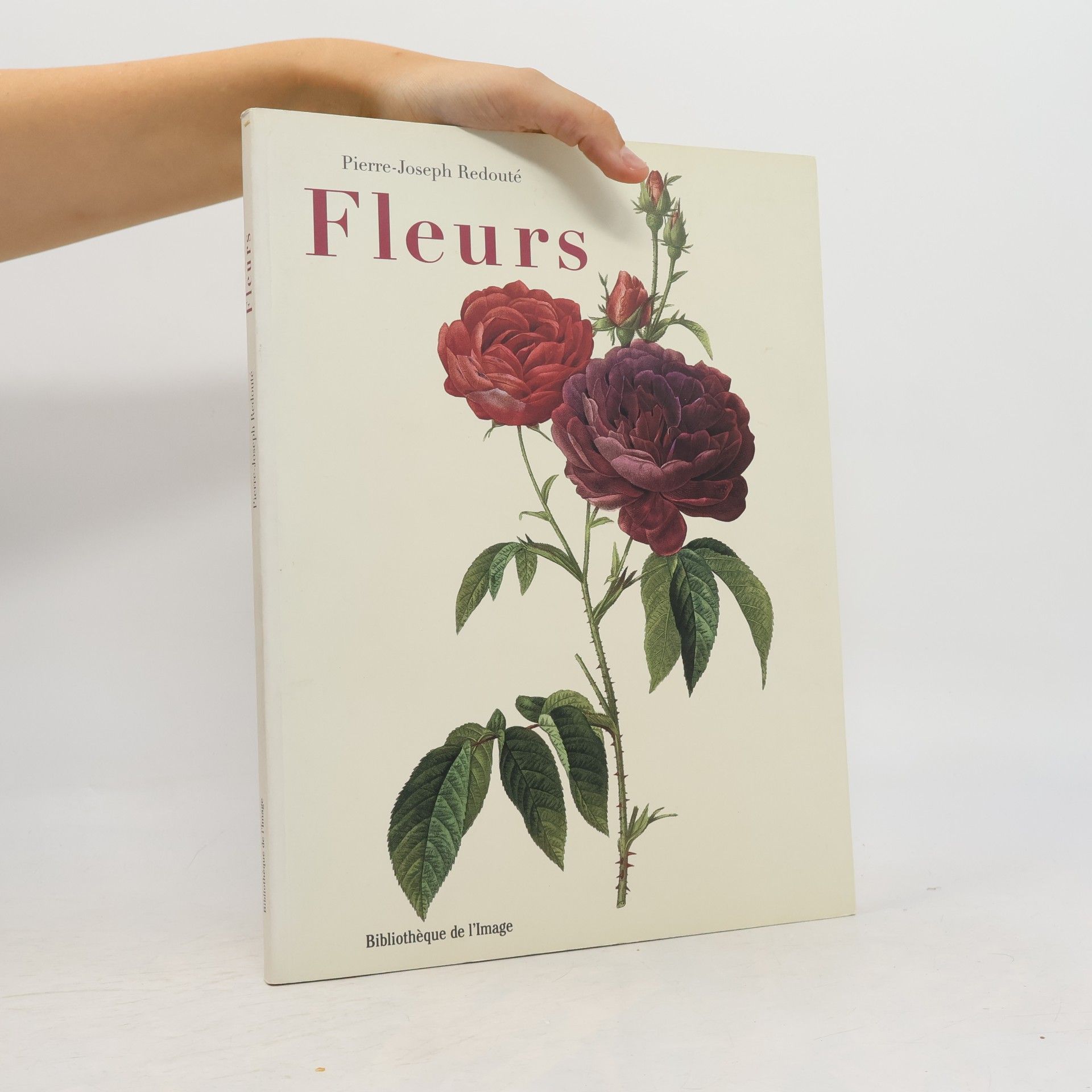 Monique Ducreux Fleurs