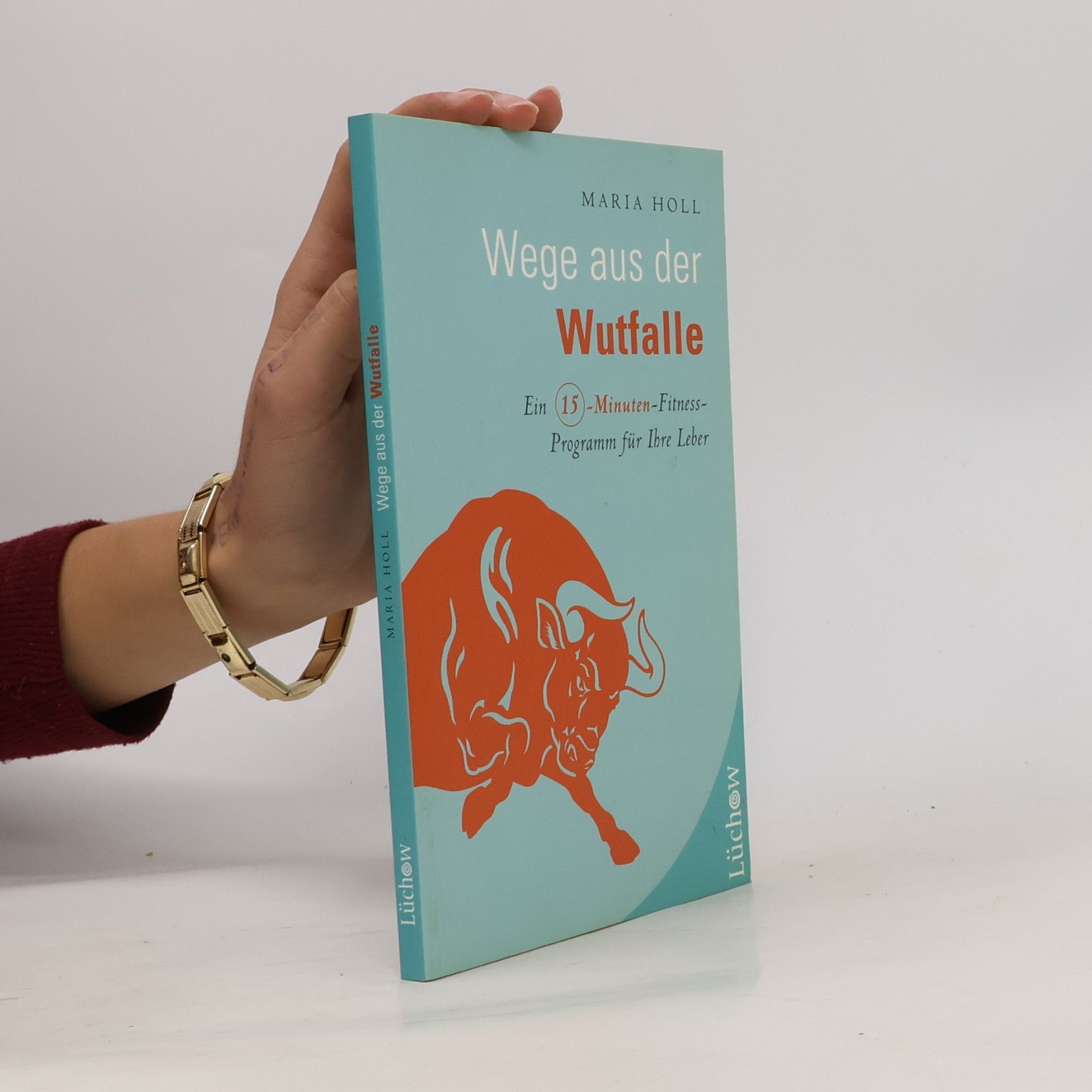 Maria Holl Wege aus der Wutfalle