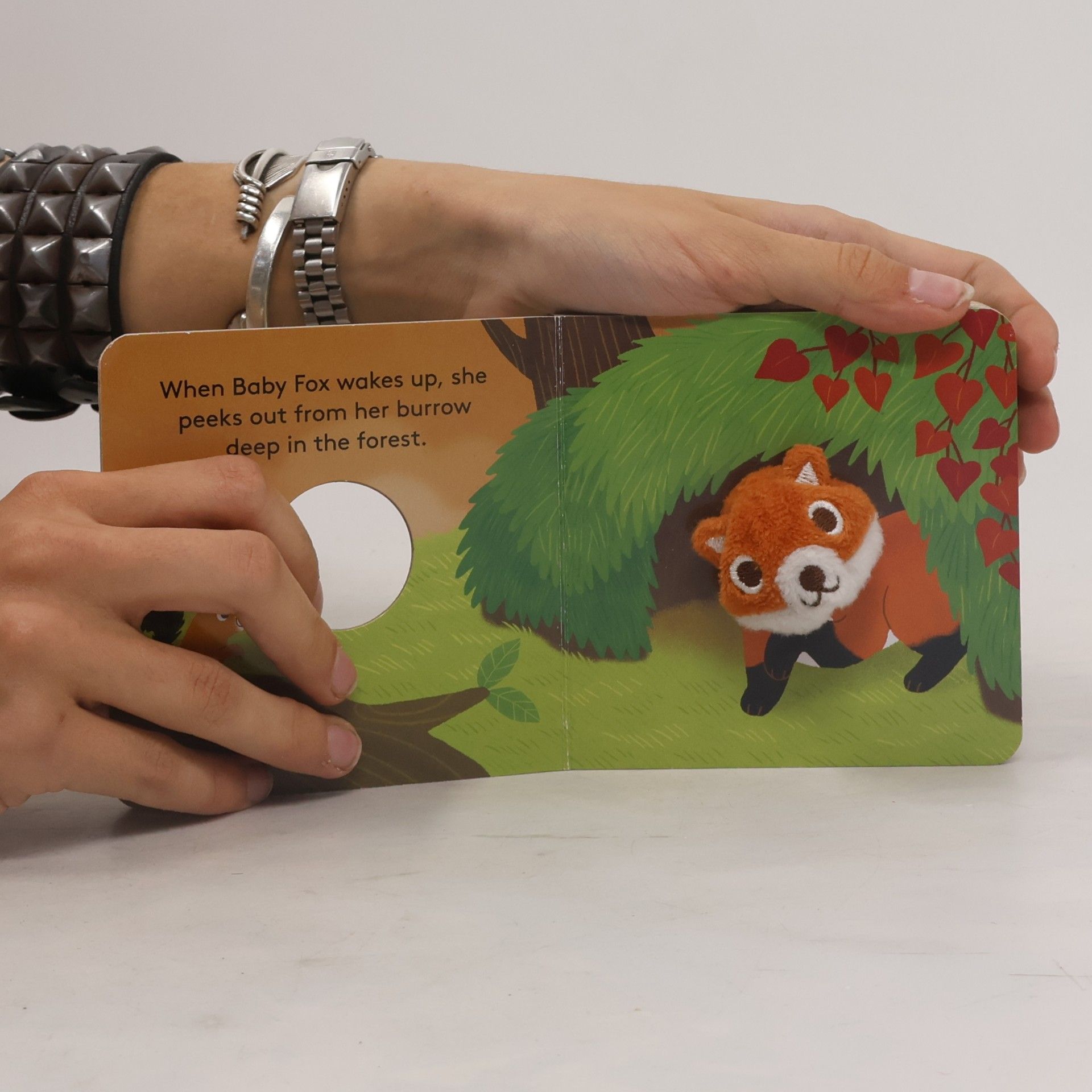 Yu-Hsuan Huang Baby Fox