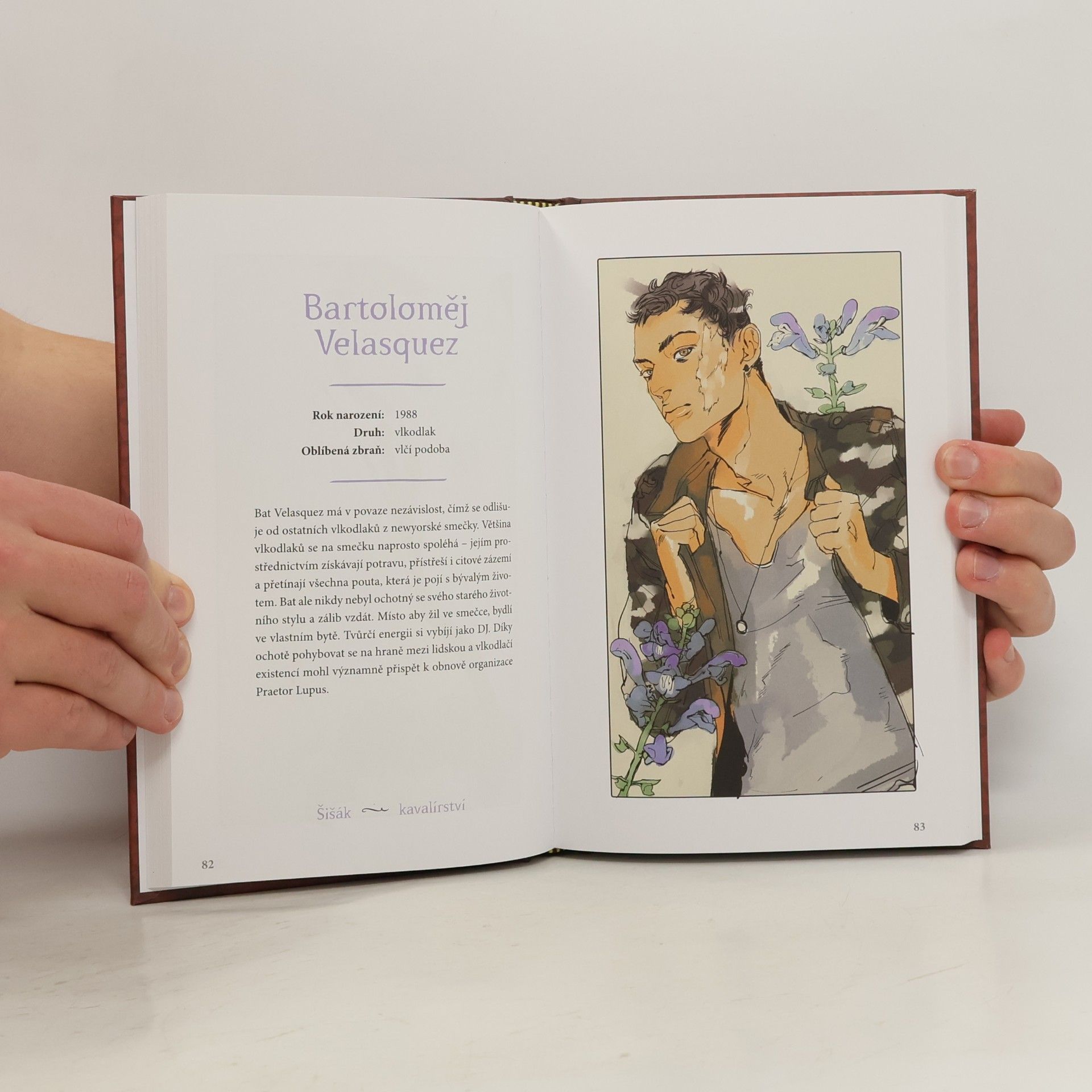 Cassandra Clare Kdo je kdo ve světě stínů