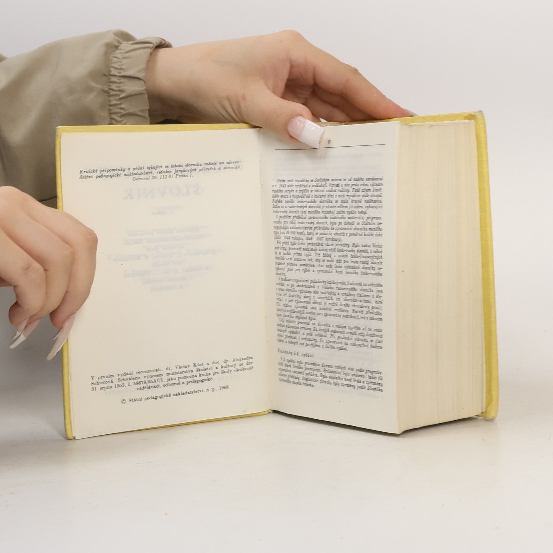 Autorenkollektiv Česko-ruský slovník