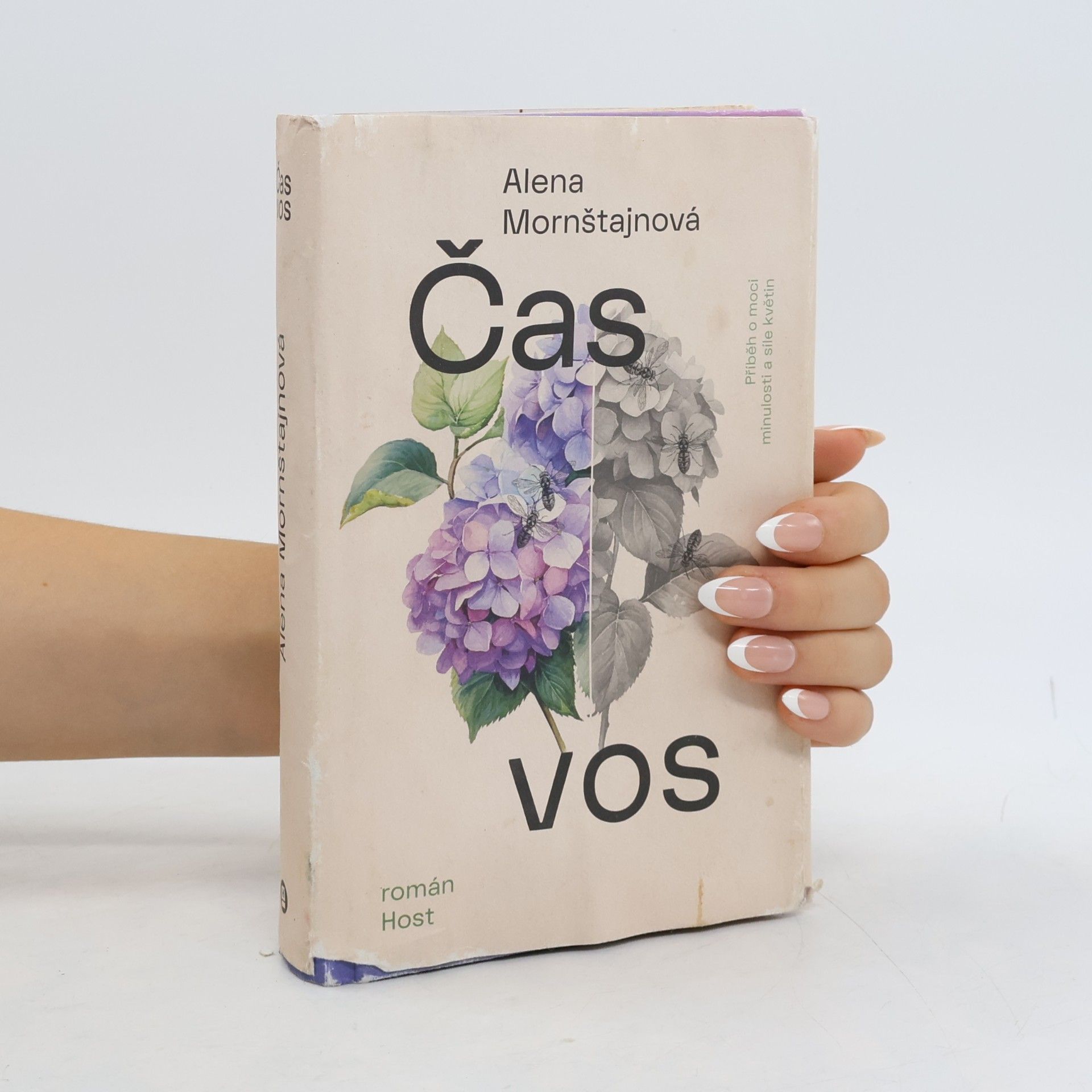 Alena Mornštajnová Čas vos