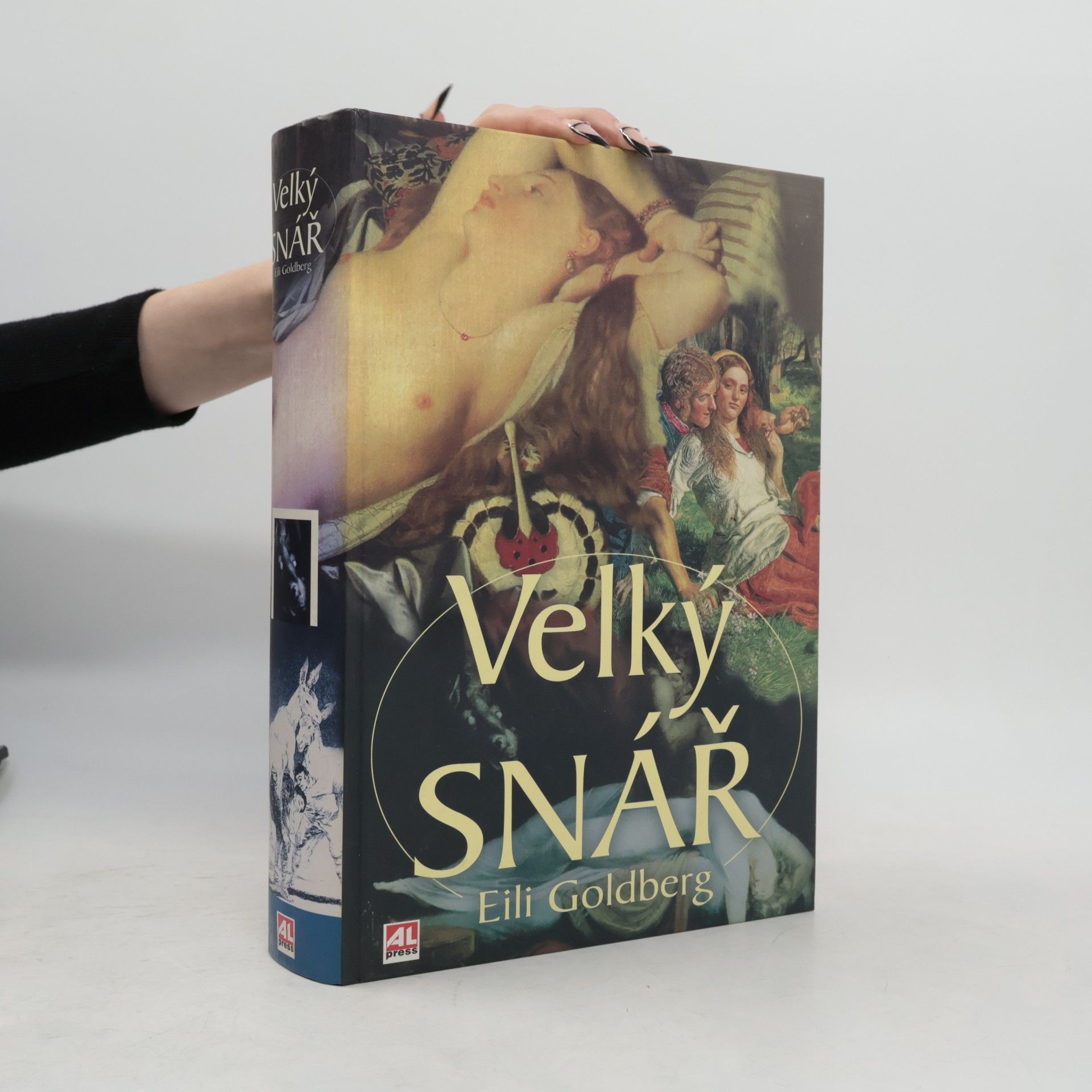 Eili Goldberg Velký snář