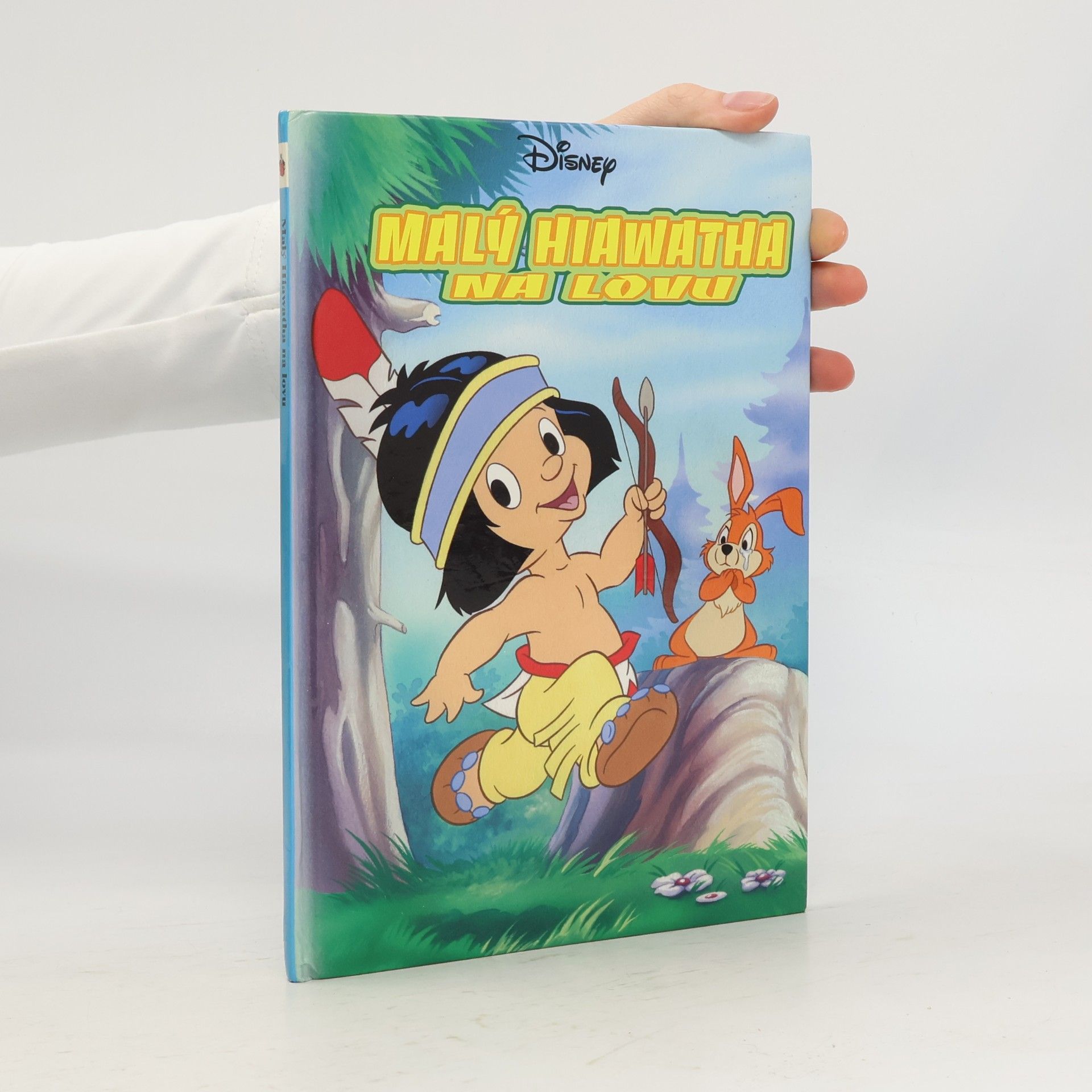 Walt Disney Malý Hiawatha na lovu