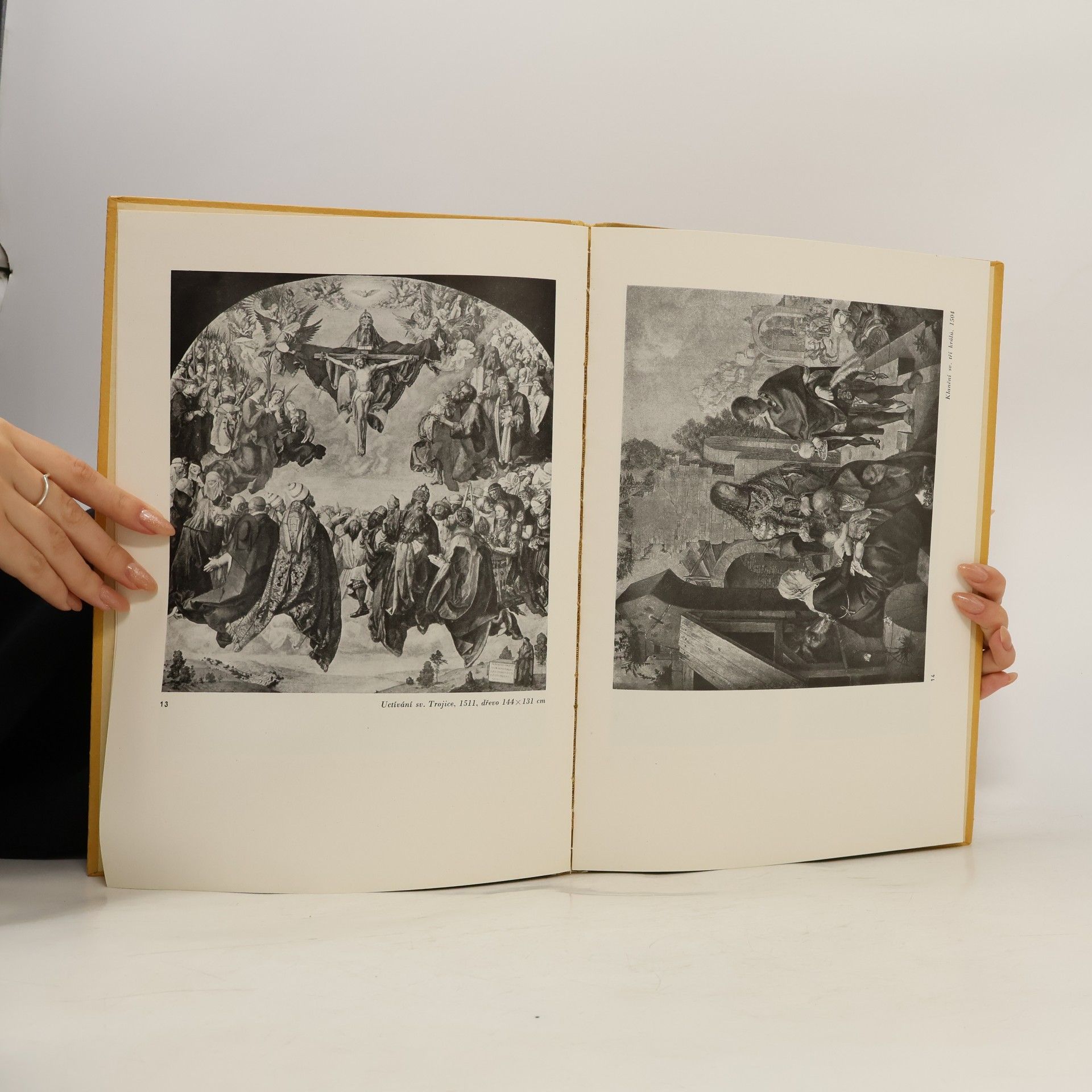 Kolektiv autorů Albrecht Dürer