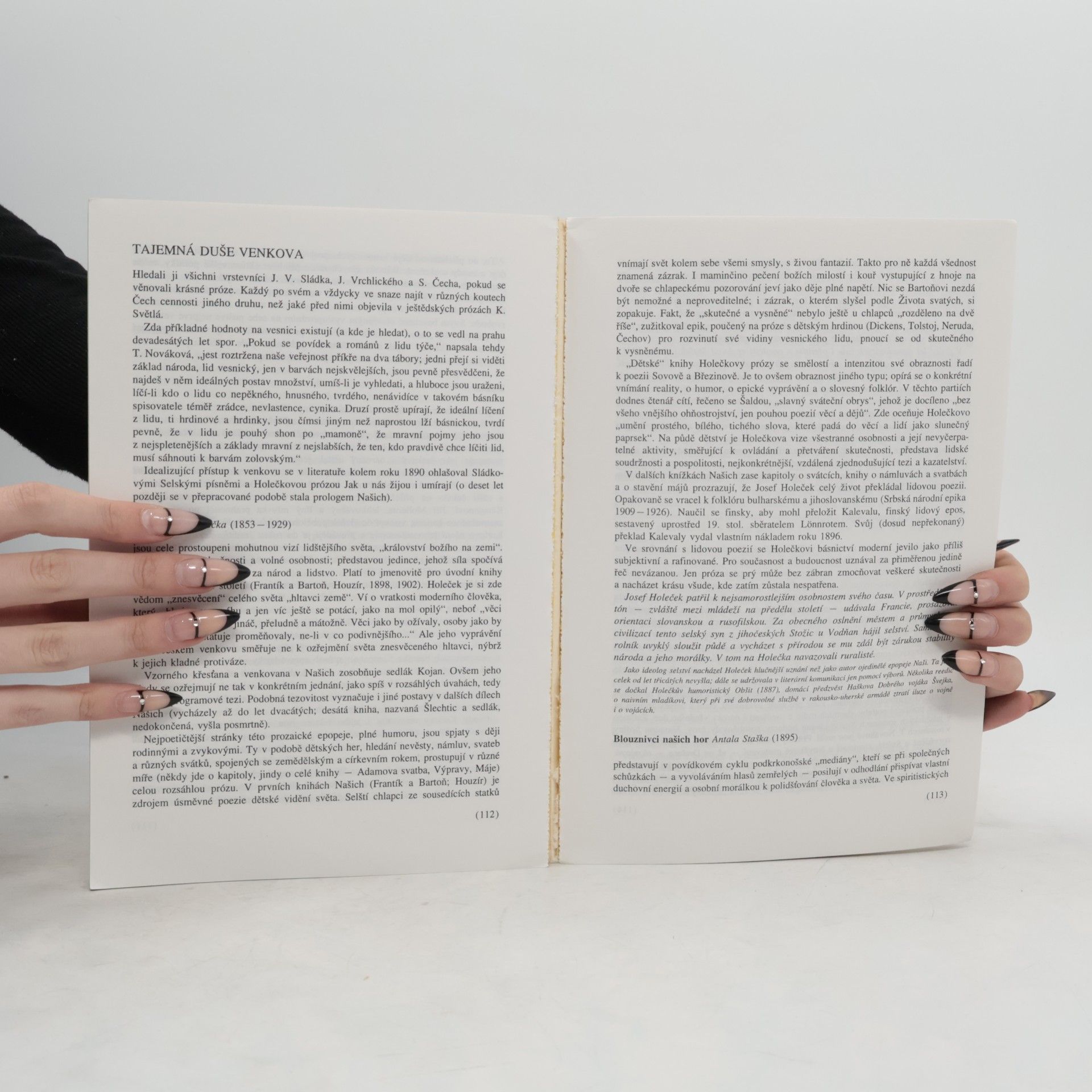 Jaroslava Janáčková Česká literatura 19. století, Od Máchy k Březinovi