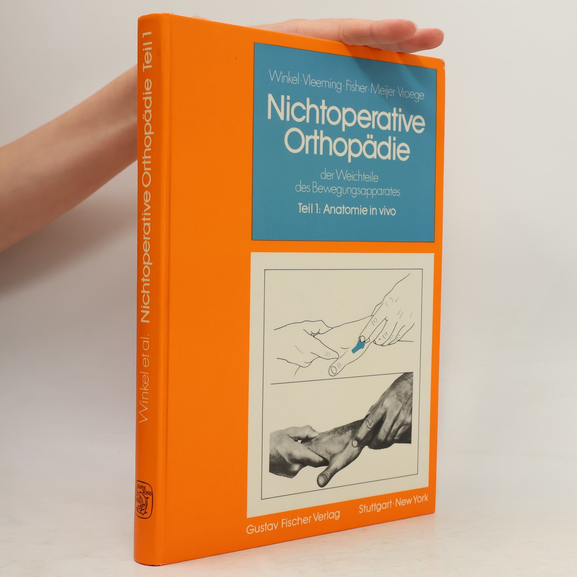 Andry Vleeming Nichtoperative Orthopädie der Weichteile des Bewegungsapparates