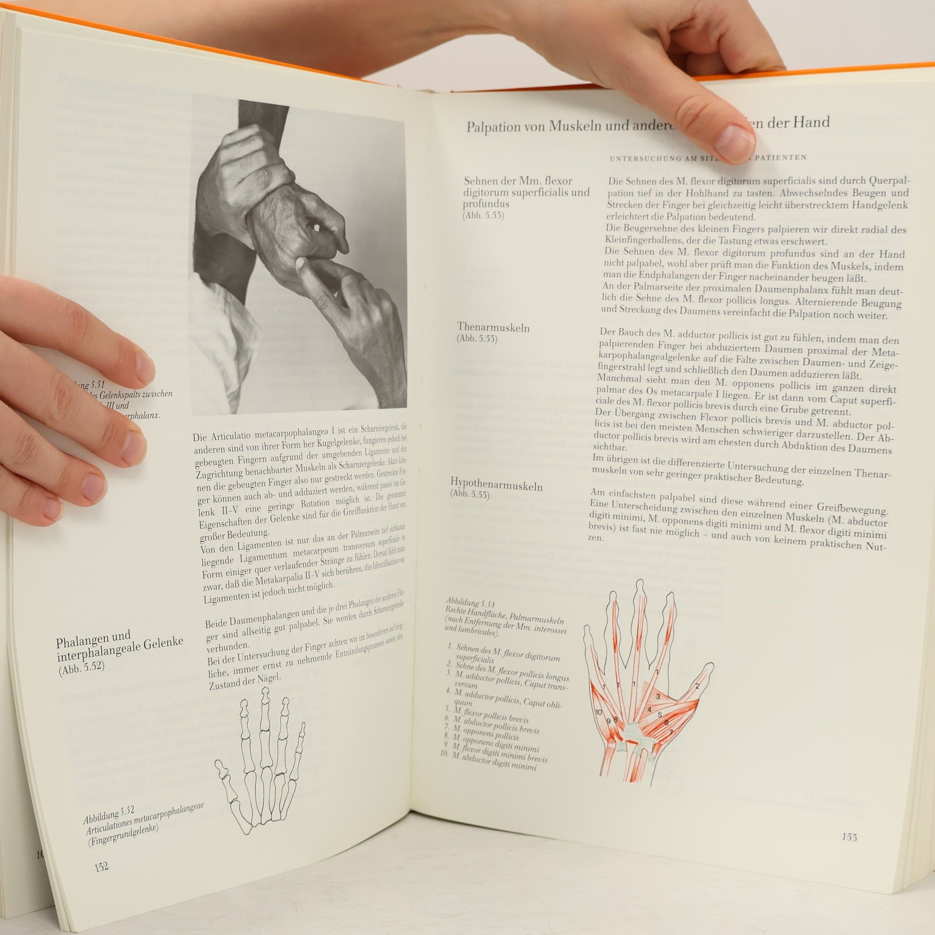Andry Vleeming Nichtoperative Orthopädie der Weichteile des Bewegungsapparates