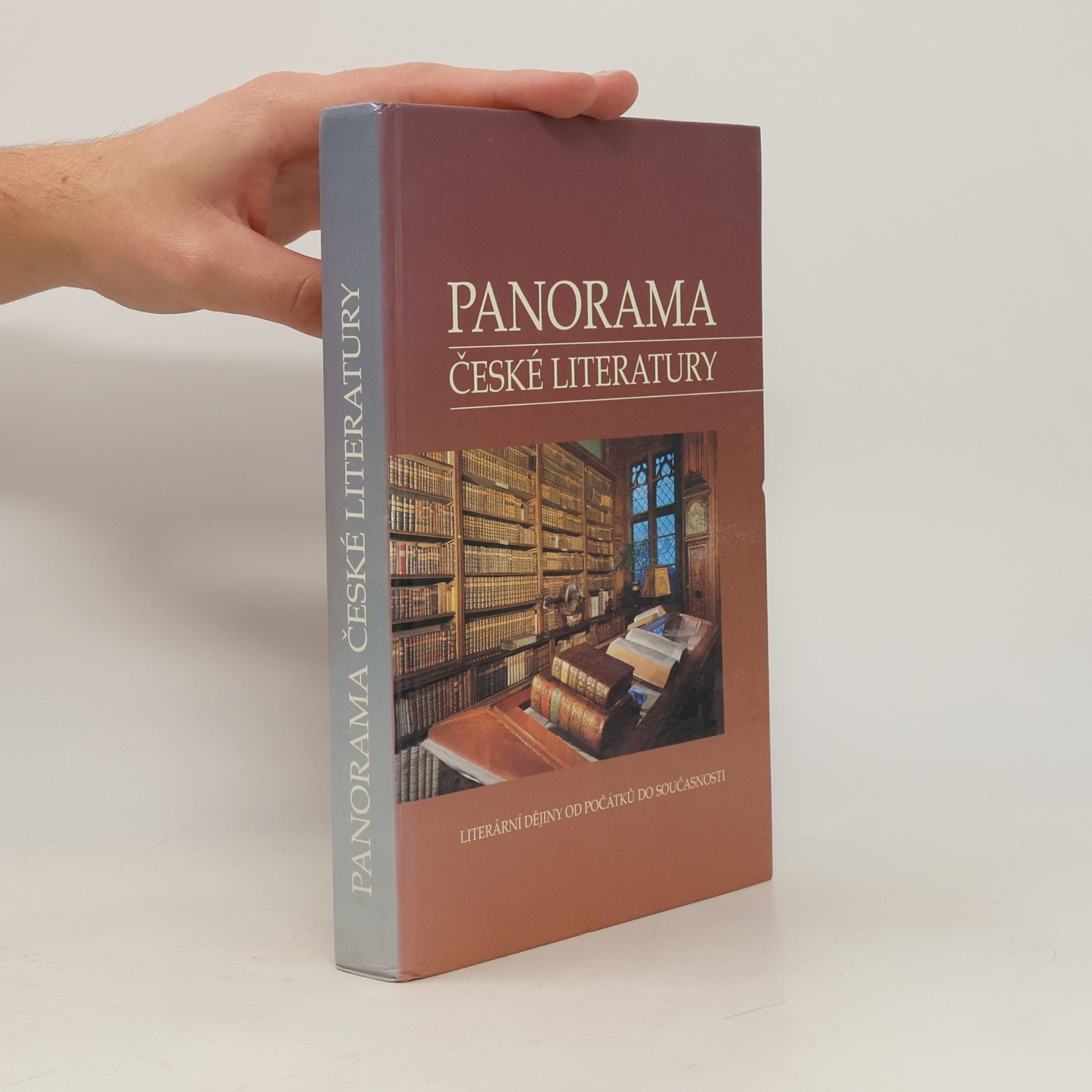 Autorenkollektiv Panorama české literatury. Literární dějiny od počátků do současnosti