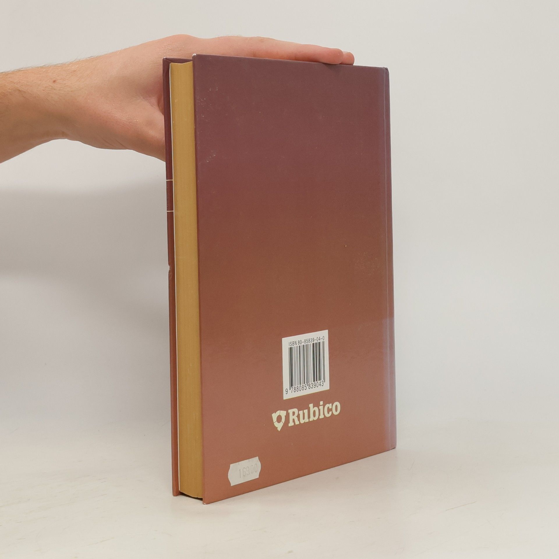 Autorenkollektiv Panorama české literatury. Literární dějiny od počátků do současnosti