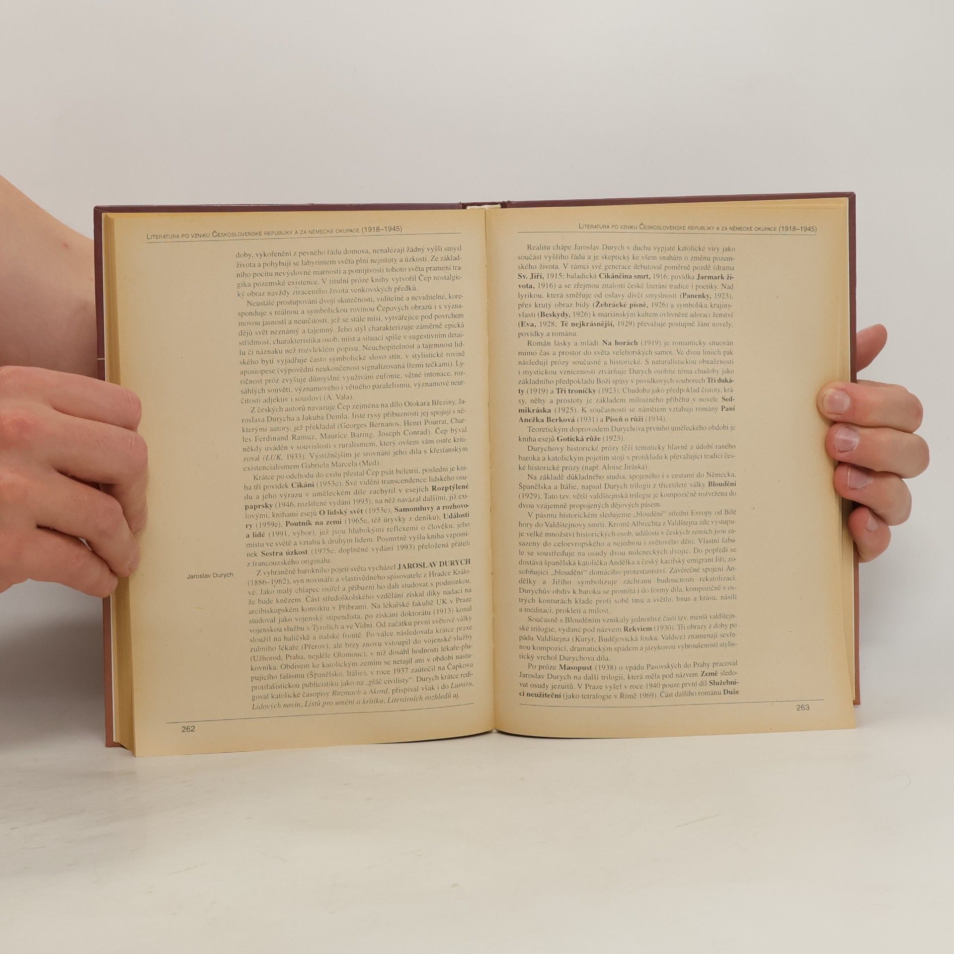 Autorenkollektiv Panorama české literatury. Literární dějiny od počátků do současnosti