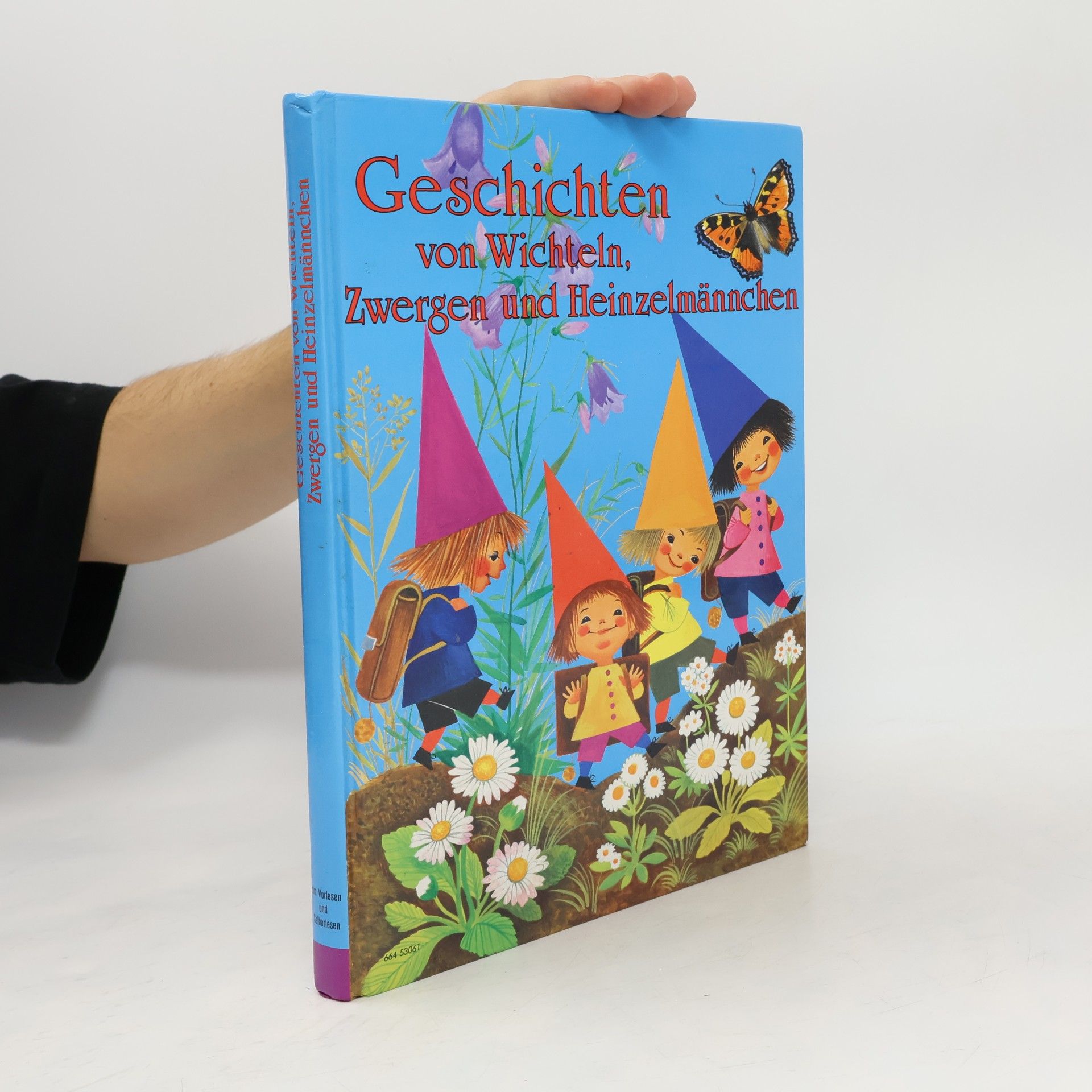Geschichten von Wichteln, Zwergen und Heinzelmännchen