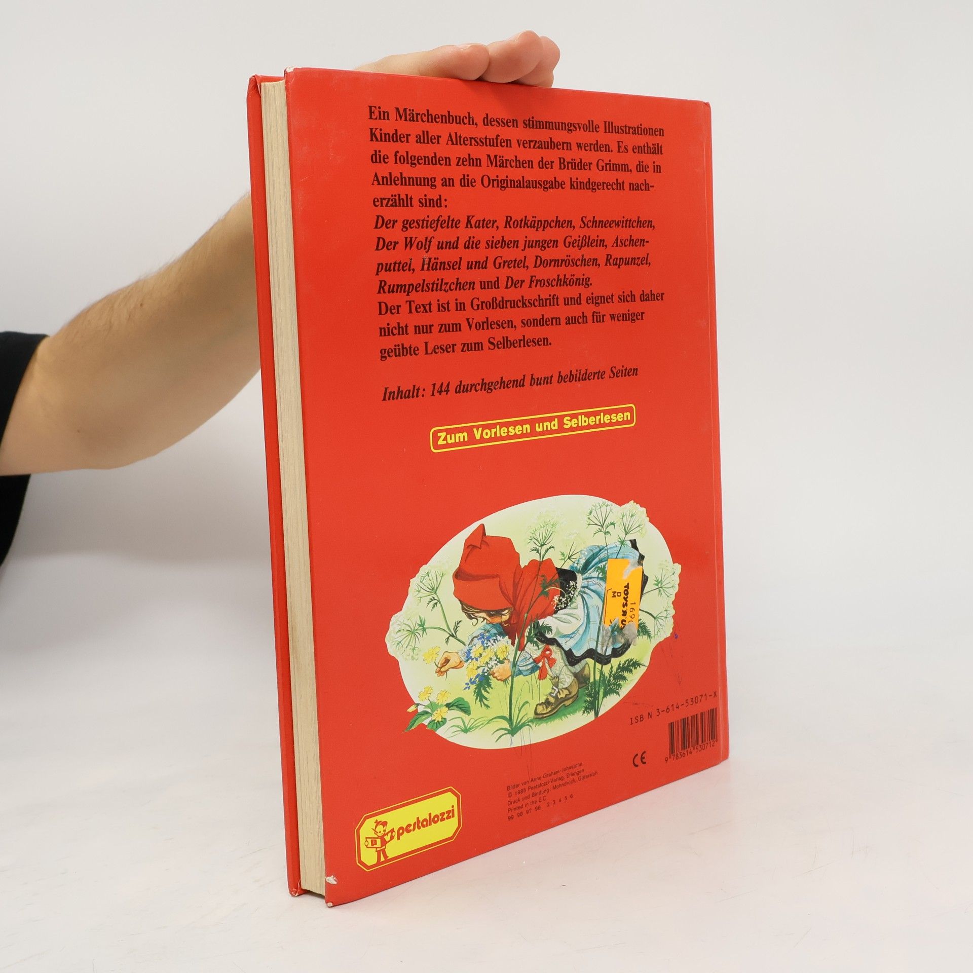 Various authors Mein Märchenbuch