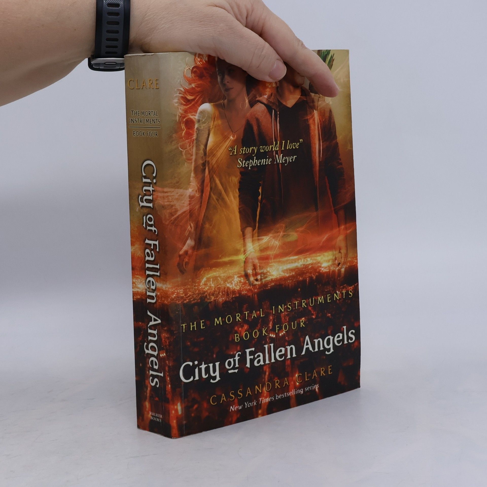 City of Fallen Angels